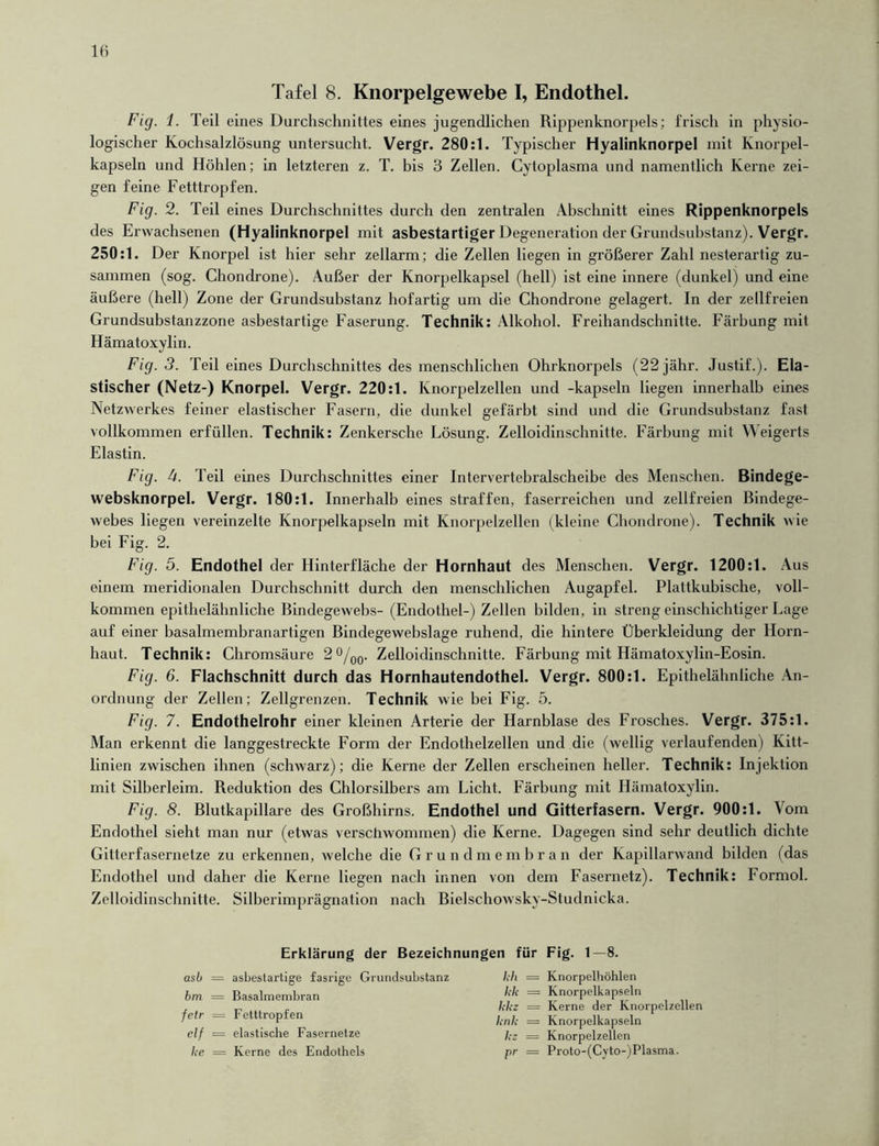 Tafel 8. Knorpelgewebe I, Endothel. Fig. 1. Teil eines Durchschnittes eines jugendlichen Rippenknorpels; frisch in physio- logischer Kochsalzlösung untersucht. Vergr. 280:1. Typischer Hyalinknorpel mit Knorpel- kapseln und Höhlen; in letzteren z. T. bis 3 Zellen. Cytoplasma und namentlich Kerne zei- gen feine Fetttropfen. Fig. 2. Teil eines Durchschnittes durch den zentralen Abschnitt eines Rippenknorpels des Erwachsenen (Hyalinknorpel mit asbestartiger Degeneration der Grundsubstanz). Vergr. 250:1. Der Knorpel ist hier sehr zellarm; die Zellen liegen in größerer Zahl nesterartig zu- sammen (sog. Chondrone). Außer der Knorpelkapsel (hell) ist eine innere (dunkel) und eine äußere (hell) Zone der Grundsubstanz hofartig um die Chondrone gelagert. In der zellfreien Grundsubstanzzone asbestartige Faserung. Technik: Alkohol. Freihandschnitte. Färbung mit Hämatoxylin. Fig. 3. Teil eines Durchschnittes des menschlichen Ohrknorpels (22jähr. Justif.). Ela- stischer (Netz-) Knorpel. Vergr. 220:1. Knorpelzellen und -kapseln liegen innerhalb eines Netzwerkes feiner elastischer Fasern, die dunkel gefärbt sind und die Grundsubstanz fast vollkommen erfüllen. Technik: Zenkersche Lösung. Zelloidinschnitte. Färbung mit Weigerts Elastin. Fig. 4. Teil eines Durchschnittes einer Intervertebralscheibe des Menschen. Bindege- websknorpel. Vergr. 180:1. Innerhalb eines straffen, faserreichen und zellfreien Bindege- webes liegen vereinzelte Knorpelkapseln mit Knorpelzellen (kleine Chondrone). Technik wie bei Fig. 2. Fig. 5. Endothel der Hinterfläche der Hornhaut des Menschen. Vergr. 1200:1. Aus einem meridionalen Durchschnitt durch den menschlichen Augapfel. Plattkubische, voll- kommen epithelähnliche Bindegewebs- (Endothel-) Zellen bilden, in streng einschichtiger Lage auf einer basalmembranartigen Bindegewebslage ruhend, die hintere Überkleidung der Horn- haut. Technik: Chromsäure 2°/oo- Zelloidinschnitte. Färbung mit Hämatoxylin-Eosin. Fig. 6. Flachschnitt durch das Hornhautendothel. Vergr. 800:1. Epithelähnliche An- ordnung der Zellen; Zellgrenzen. Technik wie bei Fig. 5. Fig. 7. Endothelrohr einer kleinen Arterie der Harnblase des Frosches. Vergr. 375:1. Man erkennt die langgestreckte Form der Endothelzellen und die (wellig verlaufenden) Kitt- linien zwischen ihnen (schwarz); die Kerne der Zellen erscheinen heller. Technik: Injektion mit Silberleim. Reduktion des Chlorsilbers am Licht. Färbung mit Hämatoxylin. Fig. 8. Blutkapillare des Großhirns. Endothel und Gitterfasern. Vergr. 900:1. Vom Endothel sieht man nur (etwas verschwommen) die Kerne. Dagegen sind sehr deutlich dichte Gitterfasernetze zu erkennen, welche die Grundmembran der Kapillarwand bilden (das Endothel und daher die Kerne liegen nach innen von dem Fasernetz). Technik: Formol. Zelloidinschnitte. Silberimprägnation nach Bielschowsky-Studnicka. Erklärung der Bezeichnungen für Fig. t—8. asb = asbestartige fasrige Grundsubstanz bm = Basalmembran fetr = Fetttropfen cif = elastische Fasernetze ke = Kerne des Endothels kh — Knorpelhöhlen kk = Knorpelkapseln kkz = Kerne der Knorpelzellen lenk — Knorpelkapseln kz = Knorpelzellen pr == Proto-(Cyto-)Plasma.