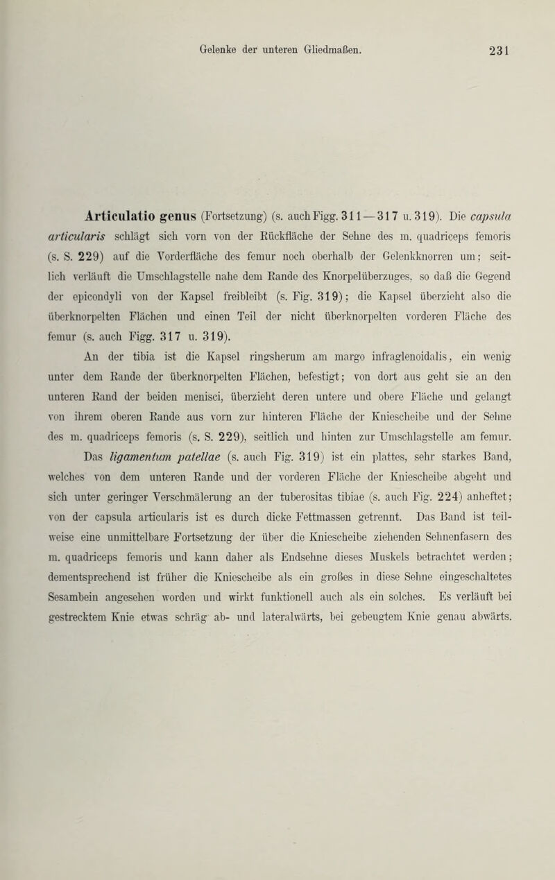 Articulatio genus (Fortsetzung) (s. auch Figg. 311 — 317 u. 319). Die capsula articularis schlägt sich vorn von der Rückfläche der Sehne des m. quadriceps femoris (s. S. 229) auf die Vorderfläche des femur noch oberhalb der Gelenkknorren um; seit- lich verläuft die Umschlagstelle nahe dem Rande des Knorpel Überzuges, so daß die Gegend der epicondyli von der Kapsel freibleibt (s. Fig. 319); die Kapsel überzieht also die überknorpelten Flächen und einen Teil der nicht überknorpelten vorderen Fläche des femur (s. auch Figg. 317 u. 319). An der tibia ist die Kapsel ringsherum am margo infraglenoidalis, ein wenig unter dem Rande der überknorpelten Flächen, befestigt; von dort aus geht sie an den unteren Rand der beiden menisci, überzieht deren untere und obere Fläche und gelangt von ihrem oberen Rande aus vorn zur hinteren Fläche der Kniescheibe und der Sehne des m. quadriceps femoris (s. S. 229), seitlich und hinten zur Umschlagstelle am femur. Das ligamentum patellae (s. auch Fig. 319) ist ein plattes, sehr starkes Band, welches von dem unteren Rande und der vorderen Fläche der Kniescheibe abgeht und sich unter geringer Verschmälerung an der tuberositas tibiae (s. auch Fig. 224) anheftet; von der capsula articularis ist es durch dicke Fettmassen getrennt. Das Band ist teil- weise eine unmittelbare Fortsetzung der über die Kniescheibe ziehenden Sehnenfasern des m. quadriceps femoris und kann daher als Endsehne dieses Muskels betrachtet werden; dementsprechend ist früher die Kniescheibe als ein großes in diese Sehne eingeschaltetes Sesambein angesehen worden und wirkt funktionell auch als ein solches. Es verläuft bei gestrecktem Knie etwas schräg ab- und lateralwärts, bei gebeugtem Knie genau abwärts.