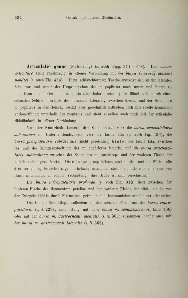 Articulatio genus (Fortsetzung) (s. auch Figg. 311—318). Das cavum articulare steht regelmäßig in offener Verbindung mit der bursa [mucosa] musculi poplitei (s. auch Fig. 454). Diese schlauchförmige Tasche erstreckt sich an der lateralen Seite vor und unter der Ursprungsehne des m. popliteus nach unten und hinten zu und kann bis hinter die articulatio tibiofibularis reichen; sie öffnet sich durch einen schmalen Schlitz oberhalb des meniscus lateralis, zwischen diesem und der Sehne des m. popliteus in das Gelenk, besitzt aber gewöhnlich außerdem noch eine zweite Kommuni- kationsöffnung unterhalb des meniscus und steht zuweilen auch noch mit der articulatio tibiofibularis in offener Verbindung. Vor der Kniescheibe kommen drei Schleimbeutel vor: die bursa praepalellaris subcutanea im Unterhautbindegewebe vor der fascia lata (s. auch Fig. 433), die bursa praepatellaris subfascialis (nicht gezeichnet) hinter der fascia lata, zwischen ihr und der Sehnenausbreitung des m. quadriceps femoris, und die bursa praepatel- laris subiendinea zwischen der Sehne des m. quadriceps und der vorderen Fläche der patella (nicht gezeichnet). Diese bursae praepatellares sind in den meisten Fällen alle drei vorhanden, bisweilen sogar mehrfach; manchmal stehen sie alle oder nur zwei von ihnen miteinander in offener Verbindung; ihre Größe ist sehr verschieden. Die bursa infrapatellaris profunda (s. auch Fig. 318) liegt zwischen der hinteren Fläche des ligamentum patellae und der vorderen Fläche der tibia; sie ist von der Kniegelenkhöhle durch Fettmassen getrennt und kommuniziert mit ihr nur sehr selten. Die Gelenkhöhle hängt außerdem in den meisten Fällen mit der bursa supra- patellaris (s. S. 229), sehr häufig mit einer bursa m. semimembranosi (s. S. 366) oder mit der bursa m. gastrocnemii medialis (s. S. 367) zusammen, häufig auch mit der bursa m. gastrocnemii lateralis (s. S. 368).