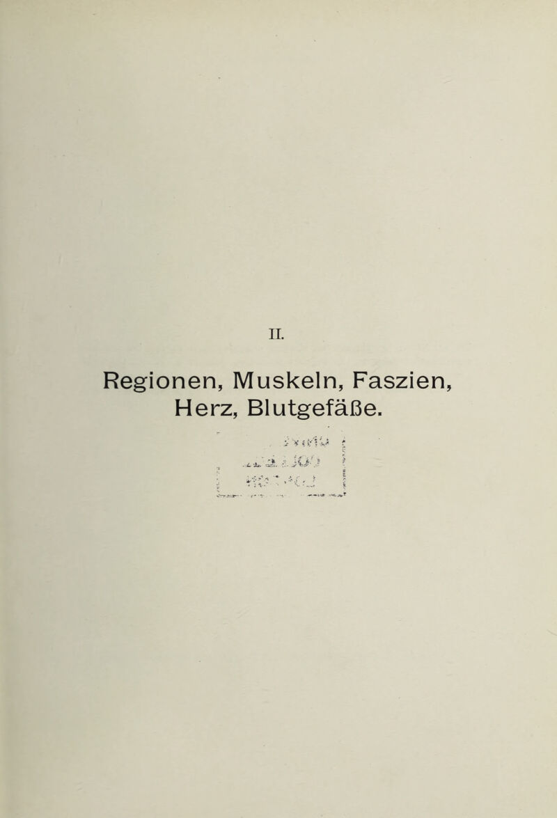 II. Regionen, Muskeln, Faszien, Herz, Blutgefäße. > ¥ (£:i ; - jL J