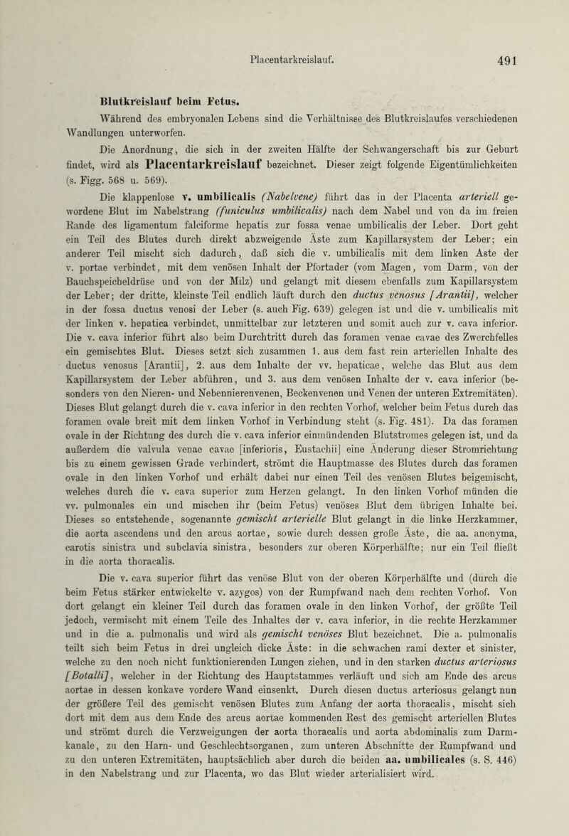 Blutkreislauf beim Fetus. Während des embryonalen Lebens sind die Verhältnisse des Blutkreislaufes verschiedenen Wandlungen unterworfen. Die Anordnung, die sich in der zweiten Hälfte der Schwangerschaft bis zur Geburt findet, wird als Plaeentarkreislauf bezeichnet. Dieser zeigt folgende Eigentümlichkeiten (s. Figg. 568 u. 569). Die klappenlose v. umbilicalis (Nabelvene) führt das in der Placenta arteriell ge- wordene Blut im Nabelstrang (funiculus umbilicalis) nach dem Nabel und von da im freien Bande des ligamentum falciforme hepatis zur fossa venae umbilicalis der Leber. Dort geht ein Teil des Blutes durch direkt abzweigende Äste zum Kapillarsystem der Leber; ein anderer Teil mischt sich dadurch, daß sich die v. umbilicalis mit dem linken Aste der v. portae verbindet, mit dem venösen Inhalt der Pfortader (vom Magen, vom Darm, von der Bauchspeicheldrüse und von der Milz) und gelangt mit diesem ebenfalls zum Kapillarsystem der Leber; der dritte, kleinste Teil endlich läuft durch den ductus venosus [Arantii], welcher in der fossa ductus venosi der Leber (s. auch Fig. 639) gelegen ist und die v. umbilicalis mit der linken v. hepatica verbindet, unmittelbar zur letzteren und somit auch zur v. cava inferior. Die v. cava inferior führt also beim Durchtritt durch das foramen venae cavae des Zwerchfelles ein gemischtes Blut. Dieses setzt sich zusammen 1. aus dem fast rein arteriellen Inhalte des ductus venosus [Arantii], 2. aus dem Inhalte der vv. hepaticae, welche das Blut aus dem Kapillarsystem der Leber abführen, und 3. aus dem venösen Inhalte der v. cava inferior (be- sonders von den Nieren- und Nebennierenvenen, Beckenvenen und Venen der unteren Extremitäten). Dieses Blut gelangt durch die v. cava inferior in den rechten Vorhof, welcher beim Fetus durch das foramen ovale breit mit dem linken Vorhof in Verbindung steht (s. Fig. 481). Da das foramen ovale in der Bichtung des durch die v. cava inferior einmündenden Blutstromes gelegen ist, und da außerdem die valvula venae cavae [inferioris, Eustachii] eine Änderung dieser Stromrichtung bis zu einem gewissen Grade verhindert, strömt die Hauptmasse des Blutes durch das foramen ovale in den linken Vorhof und erhält dabei nur einen Teil des venösen Blutes beigemischt, welches durch die v. cava superior zum Herzen gelangt. In den linken Vorhof münden die vv. pulmonales ein und mischen ihr (beim Fetus) venöses Blut dem übrigen Inhalte bei. Dieses so entstehende, sogenannte gemischt arterielle Blut gelangt in die linke Herzkammer, die aorta ascendens und den arcus aortae, sowie durch dessen große Äste, die aa. anonyma, carotis sinistra und subclavia sinistra, besonders zur oberen Körperhälfte; nur ein Teil fließt in die aorta thoracalis. Die v. cava superior führt das venöse Blut von der oberen Körperhälfte und (durch die beim Fetus stärker entwickelte v. azygos) von der Eumpfwand nach dem rechten Vorhof. Von dort gelangt ein kleiner Teil durch das foramen ovale in den linken Vorhof, der größte Teil jedoch, vermischt mit einem Teile des Inhaltes der v. cava inferior, in die rechte Herzkammer und in die a. pulmonalis und wird als gemischt venöses Blut bezeichnet. Die a. pulmonalis teilt sich beim Fetus in drei ungleich dicke Äste: in die schwachen rami dexter et sinister, welche zu den noch nicht funktionierenden Lungen ziehen, und in den starken ductus arteriosus [Botalli], welcher in der Bichtung des Hauptstammes verläuft und sich am Ende des arcus aortae in dessen konkave vordere Wand einsenkt. Durch diesen ductus arteriosus gelangt nun der größere Teil des gemischt venösen Blutes zum Anfang der aorta thoracalis, mischt sich dort mit dem aus dem Ende des arcus aoriae kommenden Best des gemischt arteriellen Blutes und strömt durch die Verzweigungen der aorta thoracalis und aorta abdominalis zum Darm- kanale, zu den Harn- und Geschlechtsorganen, zum unteren Abschnitte der Eumpfwand und zu den unteren Extremitäten, hauptsächlich aber durch die beiden aa. umbilicales (s. S. 446) in den Nabelstrang und zur Placenta, wo das Blut wieder arterialisiert wird.