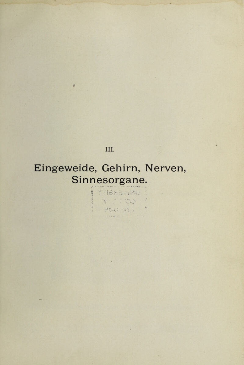 I m. Eingeweide, Gehirn, Nerven, Sinnesorgane.