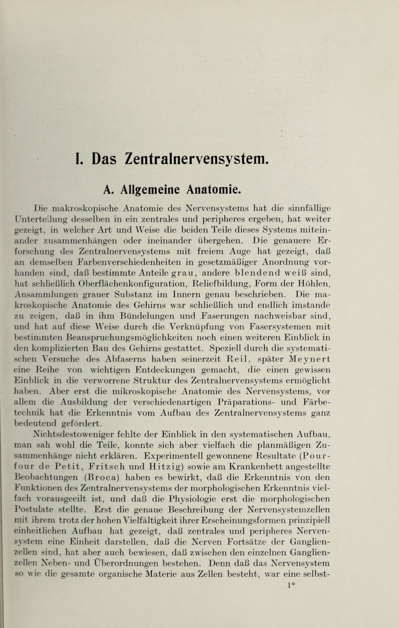 I. Das Zentralnervensystem A. Allgemeine Anatomie. Die makroskopische Anatomie des Nervensystems hat die sinnfällige Unterteilung desselben in ein zentrales und peripheres ergeben, hat weiter gezeigt, in welcher Art und Weise die beiden Teile dieses Systems mitein- ander Zusammenhängen oder ineinander übergehen. Die genauere Er- forschung des Zentralnervensystems mit freiem Auge hat gezeigt, daß an demselben Farben Verschiedenheiten in gesetzmäßiger Anordnung vor- handen sind, daß bestimmte Anteile grau, andere blendend weiß sind, hat schließlich Oberflächenkonfiguration, Reliefbildung, Form der Höhlen, Ansammlungen grauer Substanz im Innern genau beschrieben. Die ma- kroskopische Anatomie des Gehirns war schließlich und endlich imstande zu zeigen, daß in ihm Bündelungen und Faserungen nachweisbar sind, und hat auf diese Weise durch die Verknüpfung von Fasersystemen mit bestimmten Beanspruchungsmöglichkeiten noch einen weiteren Einblick in den komplizierten Bau des Gehirns gestattet. Speziell durch die systemati- schen Versuche des Abfaserns haben seinerzeit Reil, später Meynert eine Reihe von wichtigen Entdeckungen gemacht, die einen gewissen Einblick in die verworrene Struktur des Zentralnervensystems ermöglicht haben. Aber erst die mikroskopische Anatomie des Nervensystems, vor allem die Ausbildung der verschiedenartigen Präparations- und Färbe- technik hat die Erkenntnis vom Aufbau des Zentralnervensystems ganz bedeutend gefördert. Nichtsdestoweniger fehlte der Einblick in den systematischen Aufbau, man sah wohl die Teile, konnte sich aber vielfach die planmäßigen Zu- sammenhänge nicht erklären. Experimentell gewonnene Resultate (Pour- four de Petit, Fritsch und Hitzig) sowie am Krankenbett angestellte Beobachtungen (Broca) haben es bewirkt, daß die Erkenntnis von den Funktionen des Zentralnervensystems der morphologischen Erkenntnis viel- fach vorausgeeilt ist, und daß die Physiologie erst die morphologischen Postulate stellte. Erst die genaue Beschreibung der Nervensystemzellen mit ihrem trotz der hohen Vielfältigkeit ihrer Erscheinungsformen prinzipiell einheitlichen Aufbau hat gezeigt, daß zentrales und peripheres Nerven- system eine Einheit darstellen, daß die Nerven Fortsätze der Ganglien- zellen sind, hat aber auch bewiesen, daß zwischen den einzelnen Ganglien- zellen Neben- und Überordnungen bestehen. Denn daß das Nervensystem so v ie die gesamte organische Materie aus Zellen besteht, war eine selbst- 1*