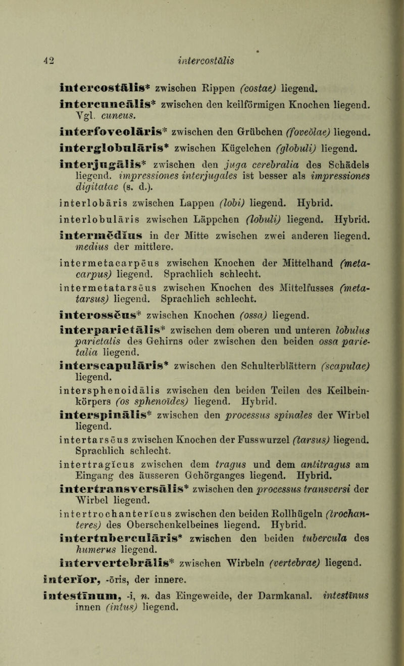 iuterco^stäli&l* zwischen Rippen (costae) liegend. intercimeälis* zwischen den keilförmigen Knochen liegend. Ygl. cuneus. interfoveoläris* zwischen den Grübchen (foveölae) liegend, interglobulärls* zwischen Kügelchen (globiüi) liegend. interjngälis* zwischen den jiiga cerehralia dos Schädels liegend, iinpressiones interjugales ist besser als impressiones digüatae (s. d.). interlobäris zwischen Lappen (lohi) liegend. Hybrid, interlobuläris zwischen Läppchen (lohuli) liegend. Hybrid. intermedias in der Mitte zwischen zwei anderen liegend. medius der mittlere. intermetacarpeiis zwischen Knochen der Mittelhand (rneta- carpus) liegend. Sprachlich schlecht, intermetatarseiis zwischen Knochen des Mittelfusses (meta- tarsus) liegend. Sprachlich schlecht. iiiteross^ns* zwischen Knochen (ossa) liegend. interparietälis* zwischen dem oberen und unteren löbulus parietatis des Gehirns oder zwischen den beiden ossa parie- talia liegend. interscapiiläris* zwischen den Schulterblättern (scapulae) liegend. intersphenoidälis zwischen den beiden Teilen des Keilbein¬ körpers (os splienoldes) liegend. Hybrid, interspinälis* zwischen den processus spinales der Wirbel liegend. intertarseus zAvischen Knochen der Fusswurzel (tarsus) liegend. Sprachlich schlecht. intertragicus zwischen dem tragus und dem antitragus am Eingang des äusseren Gehörganges liegend. Hybrid, intertransversälis* zwischen den processus transversi der Wirbel liegend. intertrochantericus zwischen den beiden Rollhügeln (trochan^ teresj des Oberschenkelbeines liegend. Hybrid, iiitertubercnläris* zwischen den beiden tuhercula des hiimerus liegend. iiitei'vertebrälis* zwischen Wirbeln (vertehrae) liegend, mterior, -öris, der innere. iaitestlnum, -i, n. das Eingeweide, der Darmkanal, intestinus innen (intus) liegend.
