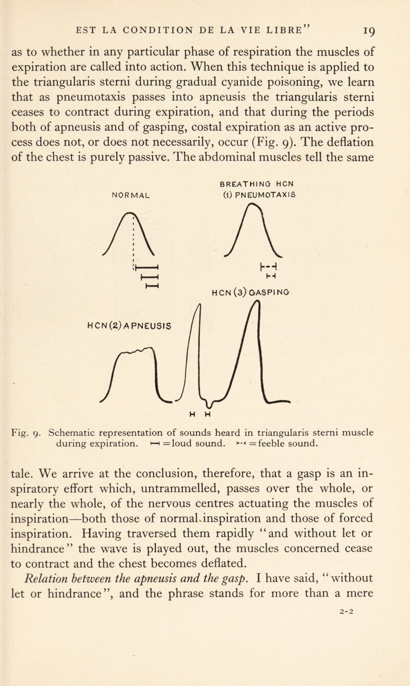as to whether in any particular phase of respiration the muscles of expiration are called into action. When this technique is applied to the triangularis sterni during gradual cyanide poisoning, we learn that as pneumotaxis passes into apneusis the triangularis sterni ceases to contract during expiration, and that during the periods both of apneusis and of gasping, costal expiration as an active pro- cess does not, or does not necessarily, occur (Fig. 9). The deflation of the chest is purely passive. The abdominal muscles tell the same BREATHING HCN NORMAL (1) PNEUMOTAXIS HCN(2)APNEUSIS A H H Fig. 9. Schematic representation of sounds heard in triangularis sterni muscle during expiration. 1—1 =loud sound. — feeble sound. tale. We arrive at the conclusion, therefore, that a gasp is an in- spiratory effort which, untrammelled, passes over the whole, or nearly the whole, of the nervous centres actuating the muscles of inspiration—both those of normahinspiration and those of forced inspiration. Having traversed them rapidly “and without let or hindrance ” the wave is played out, the muscles concerned cease to contract and the chest becomes deflated. Relation between the apneusis and the gasp. I have said, “without let or hindrance”, and the phrase stands for more than a mere 2-2