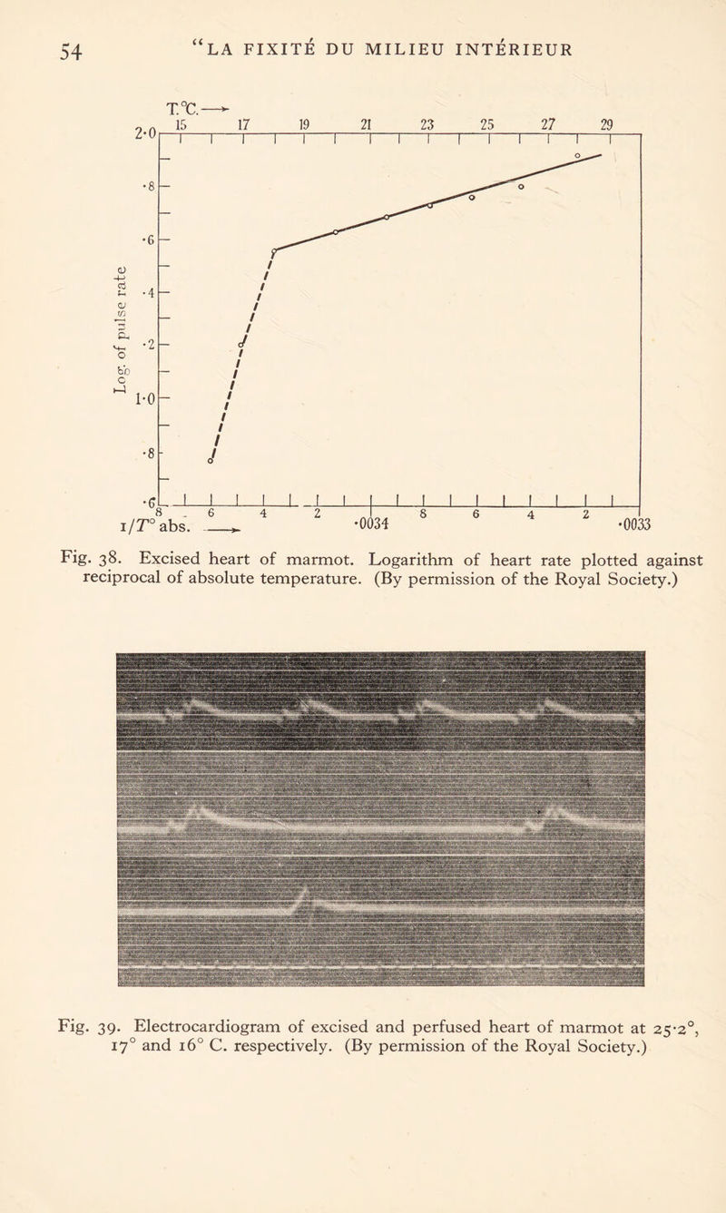 Fig. 38. Excised heart of marmot. Logarithm of heart rate plotted against reciprocal of absolute temperature. (By permission of the Royal Society.) Fig. 39. Electrocardiogram of excised and perfused heart of marmot at 25-2°, 170 and 160 C. respectively. (By permission of the Royal Society.)