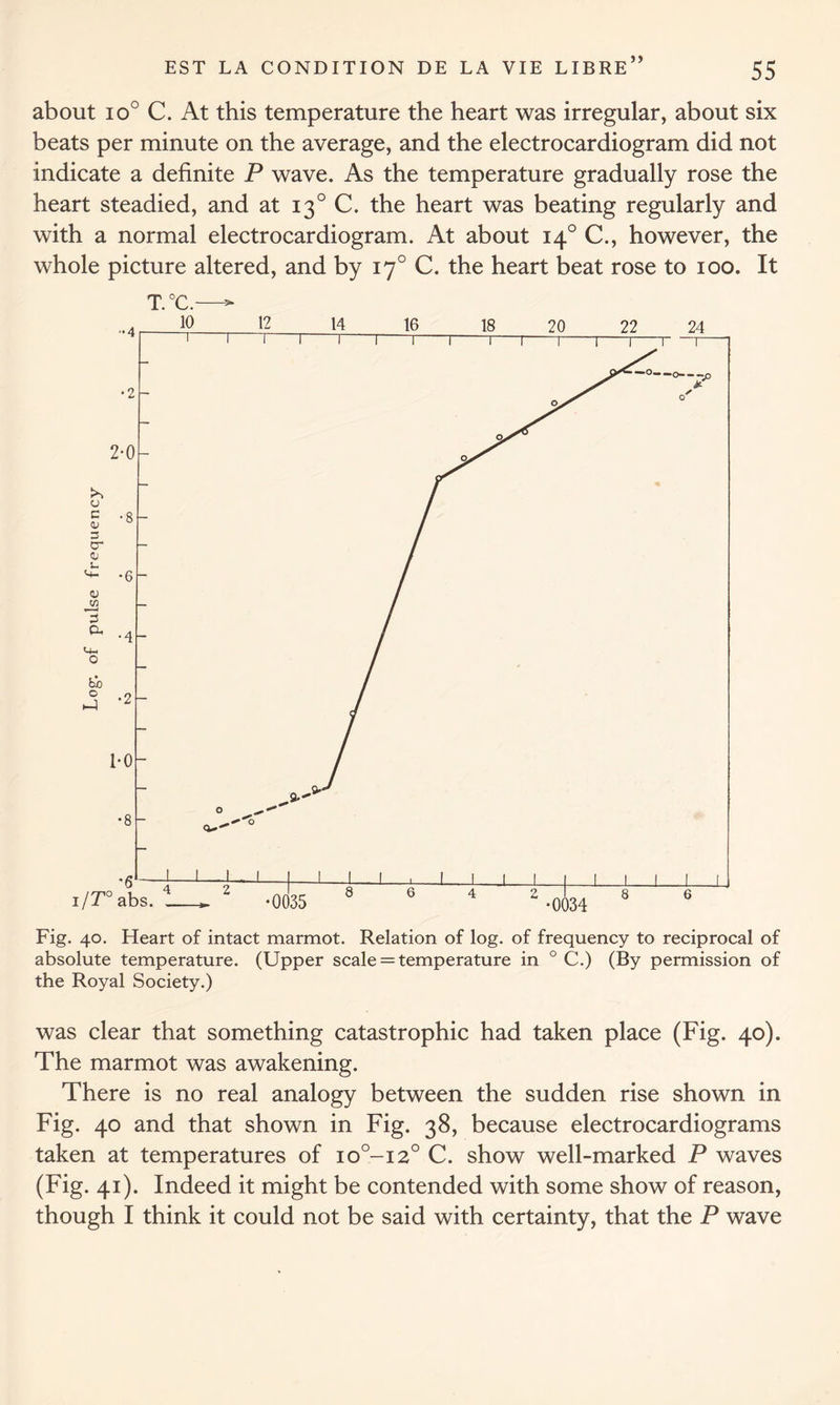 about io° C. At this temperature the heart was irregular, about six beats per minute on the average, and the electrocardiogram did not indicate a definite P wave. As the temperature gradually rose the heart steadied, and at 130 C. the heart was beating regularly and with a normal electrocardiogram. At about 140 C., however, the whole picture altered, and by 170 C. the heart beat rose to 100. It T.°C.—- Fig. 40. Heart of intact marmot. Relation of log. of frequency to reciprocal of absolute temperature. (Upper scale = temperature in 0 C.) (By permission of the Royal Society.) was clear that something catastrophic had taken place (Fig. 40). The marmot was awakening. There is no real analogy between the sudden rise shown in Fig. 40 and that shown in Fig. 38, because electrocardiograms taken at temperatures of io°-i2° C. show well-marked P waves (Fig. 41). Indeed it might be contended with some show of reason, though I think it could not be said with certainty, that the P wave