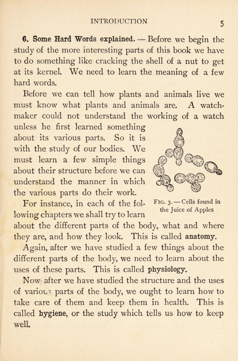 6. Some Hard Words explained. — Before we begin the study of the more interesting parts of this book we have to do something like cracking the shell of a nut to get at its kernel. We need to learn the meaning of a few hard words. Before we can tell how plants and animals live we must know what plants and animals are. A watch- maker could not understand the working of a watch unless he first learned something about its various parts. So it is with the study of our bodies. We must learn a few simple things about their structure before we can understand the manner in which the various parts do their work. For instance, in each of the fol- lowing chapters we shall try to learn about the different parts of the body, what and where they are, and how they look. This is called anatomy. Again, after we have studied a few things about the different parts of the body, we need to learn about the uses of these parts. This is called physiology. Now after we have studied the structure and the uses of various parts of the body, we ought to learn how to take care of them and keep them in health. This is called hygiene, or the study which tells us how to keep well. Fig. 3. — Cells found in the Juice of Apples