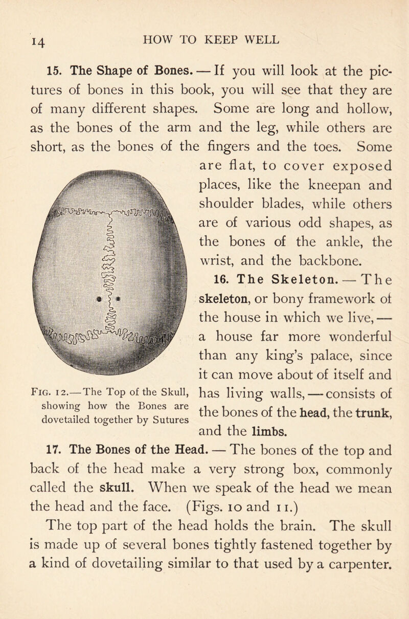 15. The Shape of Bones. — If you will look at the pic- tures of bones in this book, you will see that they are of many different shapes. Some are long and hollow, as the bones of the arm and the leg, while others are short, as the bones of the fingers and the toes. Some are fiat, to cover exposed places, like the kneepan and shoulder blades, while others are of various odd shapes, as the bones of the ankle, the wrist, and the backbone. 16. The Skeleton. — The skeleton, or bony framework of the house in which we live,— a house far more wonderful than any king’s palace, since it can move about of itself and has living walls,—-consists of the bones of the head, the trunk, and the limbs. 17. The Bones of the Head. — The bones of the top and back of the head make a very strong box, commonly called the skull. When we speak of the head we mean the head and the face. (Figs. 10 and 11.) The top part of the head holds the brain. The skull is made up of several bones tightly fastened together by a kind of dovetailing similar to that used by a carpenter. Fig. 12.—The Top of the Skull, showing how the Bones are dovetailed together by Sutures