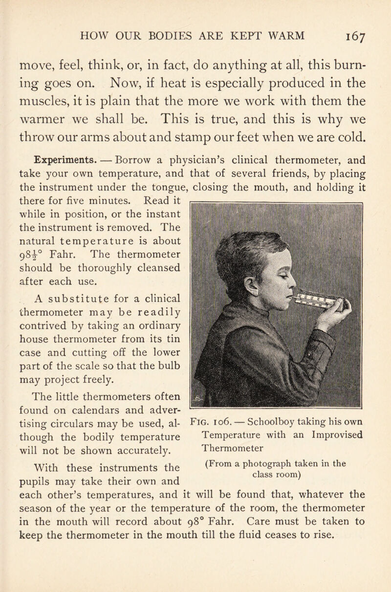 move, feel, think, or, in fact, do anything at all, this burn- ing goes on. Now, if heat is especially produced in the muscles, it is plain that the more we work with them the warmer we shall be. This is true, and this is why we throw our arms about and stamp our feet when we are cold. Experiments. — Borrow a physician’s clinical thermometer, and take your own temperature, and that of several friends, by placing the instrument under the tongue, closing the mouth, and holding it there for five minutes. Read it while in position, or the instant the instrument is removed. The natural temperature is about 98^-° Fahr. The thermometer should be thoroughly cleansed after each use. A substitute for a clinical thermometer may be readily contrived by taking an ordinary house thermometer from its tin case and cutting off the lower part of the scale so that the bulb may project freely. The little thermometers often found on calendars and adver- tising circulars may be used, al- though the bodily temperature will not be shown accurately. With these instruments the pupils may take their own and each other’s temperatures, and it will be found that, whatever the season of the year or the temperature of the room, the thermometer in the mouth will record about 98° Fahr. Care must be taken to keep the thermometer in the mouth till the fluid ceases to rise. Fig. 106. — Schoolboy taking his own Temperature with an Improvised Thermometer (From a photograph taken in the class room)
