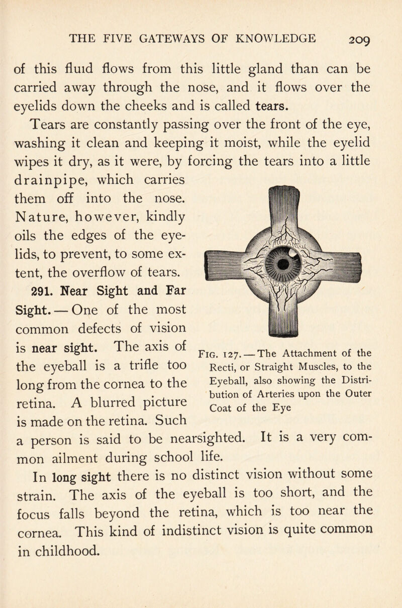 of this fluid flows from this little gland than can be carried away through the nose, and it flows over the eyelids down the cheeks and is called tears. Tears are constantly passing over the front of the eye, washing it clean and keeping it moist, while the eyelid wipes it dry, as it were, by forcing the tears into a little drainpipe, which carries them off into the nose. Nature, however, kindly oils the edges of the eye- lids, to prevent, to some ex- tent, the overflow of tears. 291. Near Sight and Far Sight. — One of the most common defects of vision is near sight. The axis of the eyeball is a trifle too long from the cornea to the retina. A blurred picture is made on the retina. Such a person is said to be nearsighted. It is a very com- mon ailment during school life. In long sight there is no distinct vision without some strain. The axis of the eyeball is too short, and the focus falls beyond the retina, which is too near the cornea. This kind of indistinct vision is c^uite common in childhood. Fig. 127.-—The Attachment of the Recti, or Straight Muscles, to the Eyeball, also showing the Distri- bution of Arteries upon the Outer Coat of the Eye