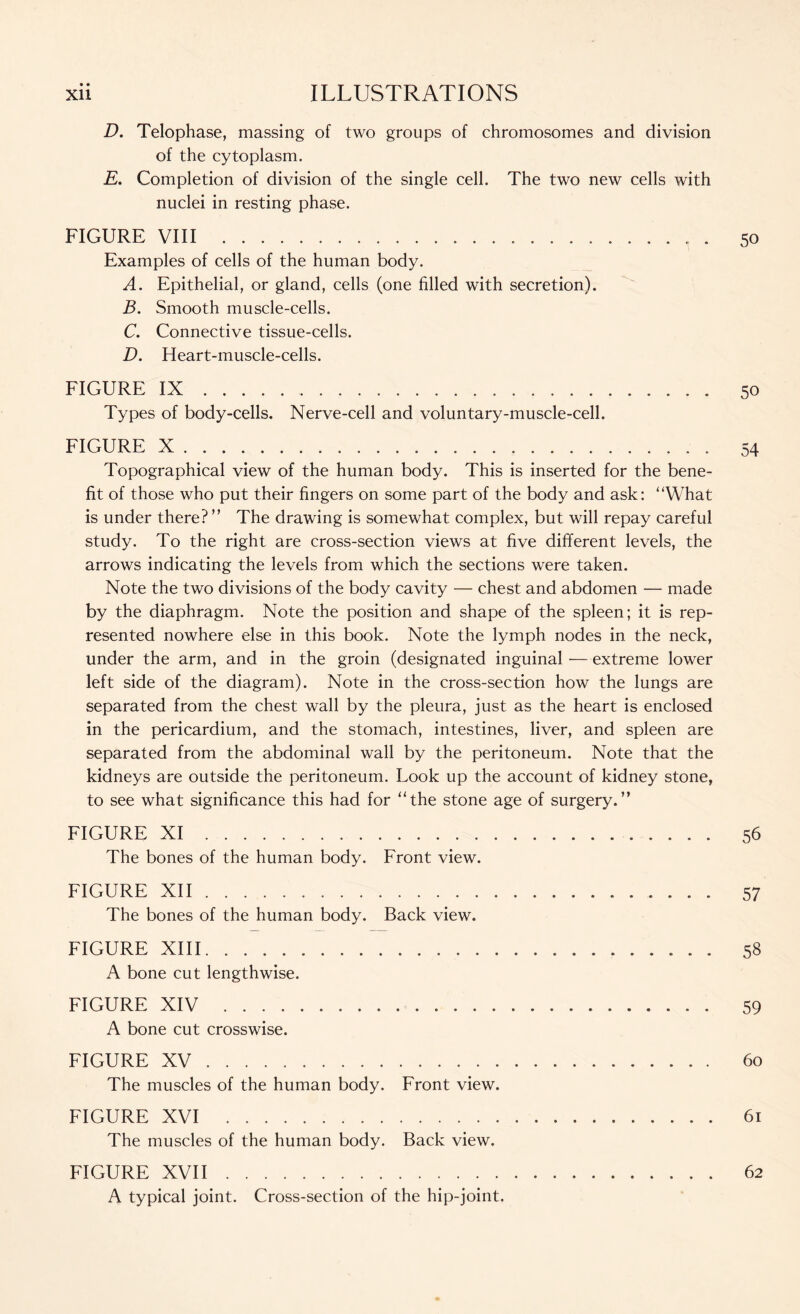 D. Telophase, massing of two groups of chromosomes and division of the cytoplasm. E. Completion of division of the single cell. The two new cells with nuclei in resting phase. FIGURE VIII . 50 Examples of cells of the human body. A. Epithelial, or gland, cells (one filled with secretion). B. Smooth muscle-cells. C. Connective tissue-cells. D. Heart-muscle-cells. FIGURE IX 50 Types of body-cells. Nerve-cell and voluntary-muscle-cell. FIGURE X 54 Topographical view of the human body. This is inserted for the bene- fit of those who put their fingers on some part of the body and ask: “What is under there? ” The drawing is somewhat complex, but will repay careful study. To the right are cross-section views at five different levels, the arrows indicating the levels from which the sections were taken. Note the two divisions of the body cavity — chest and abdomen — made by the diaphragm. Note the position and shape of the spleen; it is rep- resented nowhere else in this book. Note the lymph nodes in the neck, under the arm, and in the groin (designated inguinal — extreme lower left side of the diagram). Note in the cross-section how the lungs are separated from the chest wall by the pleura, just as the heart is enclosed in the pericardium, and the stomach, intestines, liver, and spleen are separated from the abdominal wall by the peritoneum. Note that the kidneys are outside the peritoneum. Look up the account of kidney stone, to see what significance this had for “the stone age of surgery.” FIGURE XI 56 The bones of the human body. Front view. FIGURE XII 57 The bones of the human body. Back view. FIGURE XIII 58 A bone cut lengthwise. FIGURE XIV 59 A bone cut crosswise. FIGURE XV 60 The muscles of the human body. Front view. FIGURE XVI 61 The muscles of the human body. Back view. FIGURE XVII 62 A typical joint. Cross-section of the hip-joint.