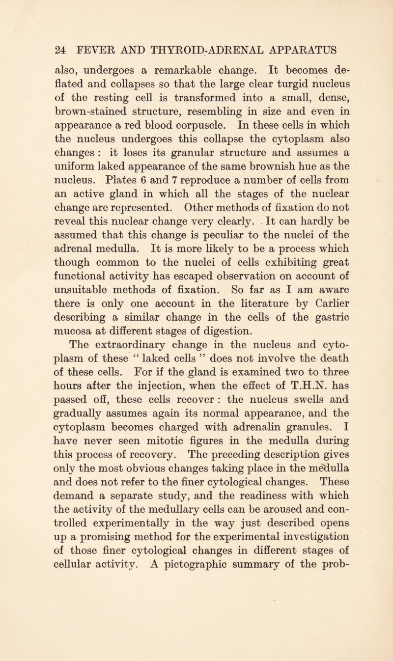 also, undergoes a remarkable change. It becomes de- flated and collapses so that the large clear turgid nucleus of the resting cell is transformed into a small, dense, brown-stained structure, resembling in size and even in appearance a red blood corpuscle. In these cells in which the nucleus undergoes this collapse the cytoplasm also changes : it loses its granular structure and assumes a uniform laked appearance of the same brownish hue as the nucleus. Plates 6 and 7 reproduce a number of cells from an active gland in which all the stages of the nuclear change are represented. Other methods of fixation do not reveal this nuclear change very clearly. It can hardly be assumed that this change is peculiar to the nuclei of the adrenal medulla. It is more likely to be a process which though common to the nuclei of cells exhibiting great functional activity has escaped observation on account of unsuitable methods of fixation. So far as I am aware there is only one account in the literature by Carlier describing a similar change in the cells of the gastric mucosa at different stages of digestion. The extraordinary change in the nucleus and cyto- plasm of these 44 laked cells ” does not involve the death of these cells. For if the gland is examined two to three hours after the injection, when the effect of T.H.N. has passed off, these cells recover : the nucleus swells and gradually assumes again its normal appearance, and the cytoplasm becomes charged with adrenalin granules. I have never seen mitotic figures in the medulla during this process of recovery. The preceding description gives only the most obvious changes taking place in the medulla and does not refer to the finer cytological changes. These demand a separate study, and the readiness with which the activity of the medullary cells can be aroused and con- trolled experimentally in the way just described opens up a promising method for the experimental investigation of those finer cytological changes in different stages of cellular activity. A pictographic summary of the prob-