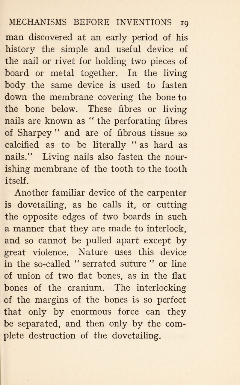 man discovered at an early period of his history the simple and useful device of the nail or rivet for holding two pieces of board or metal together. In the living body the same device is used to fasten down the membrane covering the bone to the bone below. These fibres or living nails are known as “ the perforating fibres of Sharpey ” and are of fibrous tissue so calcified as to be literally  as hard as nails/' Living nails also fasten the nour- ishing membrane of the tooth to the tooth itself. Another familiar device of the carpenter is dovetailing, as he calls it, or cutting the opposite edges of two boards in such a manner that they are made to interlock, and so cannot be pulled apart except by great violence. Nature uses this device in the so-called “ serrated suture ” or line of union of two flat bones, as in the flat bones of the cranium. The interlocking of the margins of the bones is so perfect that only by enormous force can they be separated, and then only by the com- plete destruction of the dovetailing.