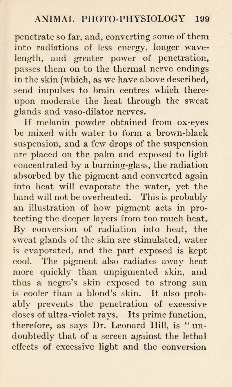 penetrate so far, and, converting some of them into radiations of less energy, longer wave- length, and greater power of penetration, passes them on to the thermal nerve endings in the skin (which, as we have above described, send impulses to brain centres wrhich there- upon moderate the heat through the sweat glands and vaso-dilator nerves. If melanin powder obtained from ox-eyes be mixed with water to form a brown-black suspension, and a few drops of the suspension are placed on the palm and exposed to light concentrated by a burning-glass, the radiation absorbed by the pigment and converted again into heat will evaporate the water, yet the hand will not be overheated. This is probably an illustration of how pigment acts in pro- tecting the deeper layers from too much heat. By conversion of radiation into heat, the sweat glands of the skin are stimulated, water is evaporated, and the part exposed is kept cool. The pigment also radiates away heat more quickly than unpigmented skin, and thus a negro’s skin exposed to strong sun is cooler than a blond’s skin. It also prob- ably prevents the penetration of excessive doses of ultra-violet rays. Its prime function, therefore, as says Dr. Leonard Hill, is “ un- doubtedly that of a screen against the lethal effects of excessive light and the conversion