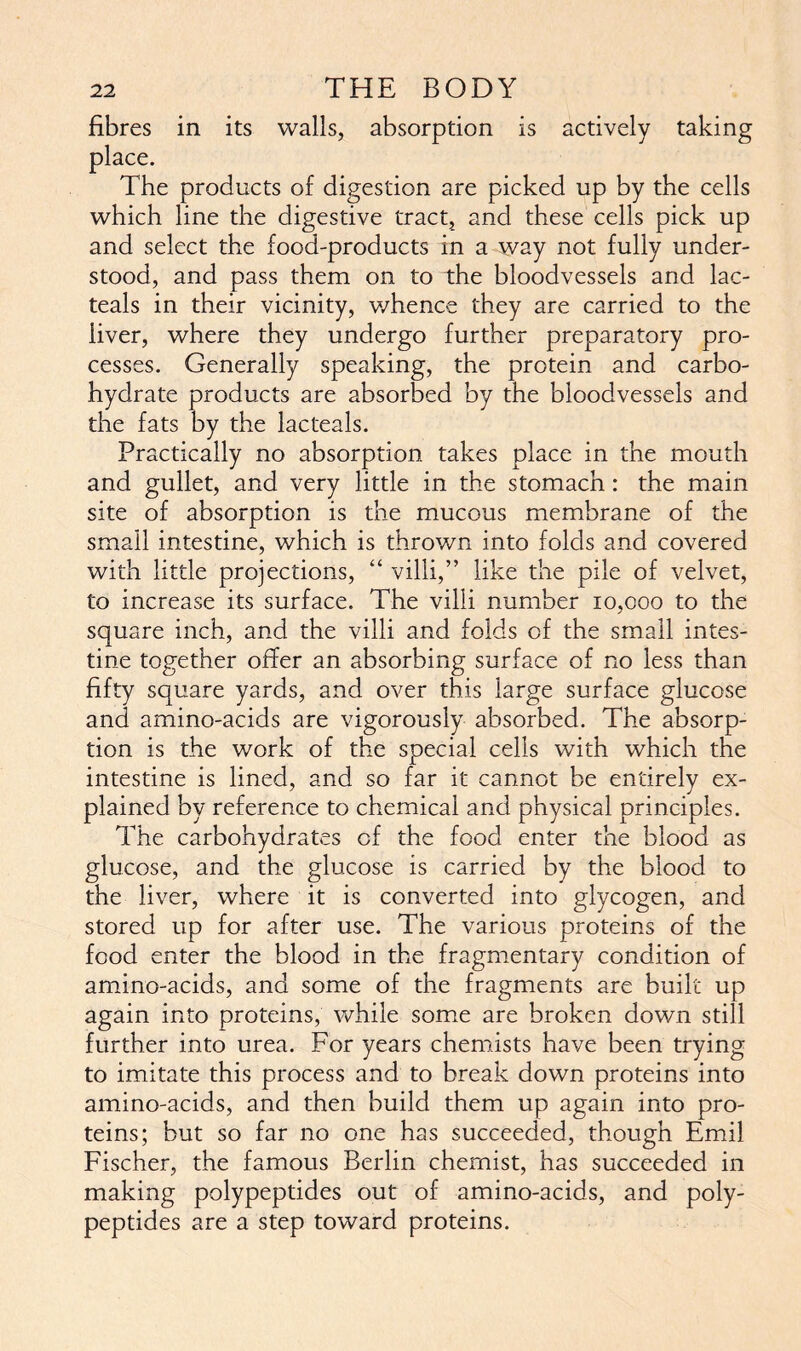 fibres in its walls, absorption is actively taking place. The products of digestion are picked up by the cells which line the digestive tract, and these cells pick up and select the food-products in a way not fully under- stood, and pass them on to the bloodvessels and lac- teals in their vicinity, whence they are carried to the liver, where they undergo further preparatory pro- cesses. Generally speaking, the protein and carbo- hydrate products are absorbed by the bloodvessels and the fats by the lacteals. Practically no absorption takes place in the mouth and gullet, and very little in the stomach: the main site of absorption is the mucous membrane of the small intestine, which is thrown into folds and covered with little projections, “ villi,” like the pile of velvet, to increase its surface. The villi number 10,000 to the square inch, and the villi and folds of the small intes- tine together offer an absorbing surface of no less than fifty square yards, and over this large surface glucose and amino-acids are vigorously absorbed. The absorp- tion is the work of the special cells with which the intestine is lined, and so far it cannot be entirely ex- plained by reference to chemical and physical principles. The carbohydrates of the food enter the blood as glucose, and the glucose is carried by the blood to the liver, where it is converted into glycogen, and stored up for after use. The various proteins of the food enter the blood in the fragmentary condition of amino-acids, and some of the fragments are built up again into proteins, while some are broken down still further into urea. For years chemists have been trying to imitate this process and to break down proteins into amino-acids, and then build them up again into pro- teins; but so far no one has succeeded, though Emil Fischer, the famous Berlin chemist, has succeeded in making polypeptides out of amino-acids, and poly- peptides are a step toward proteins.