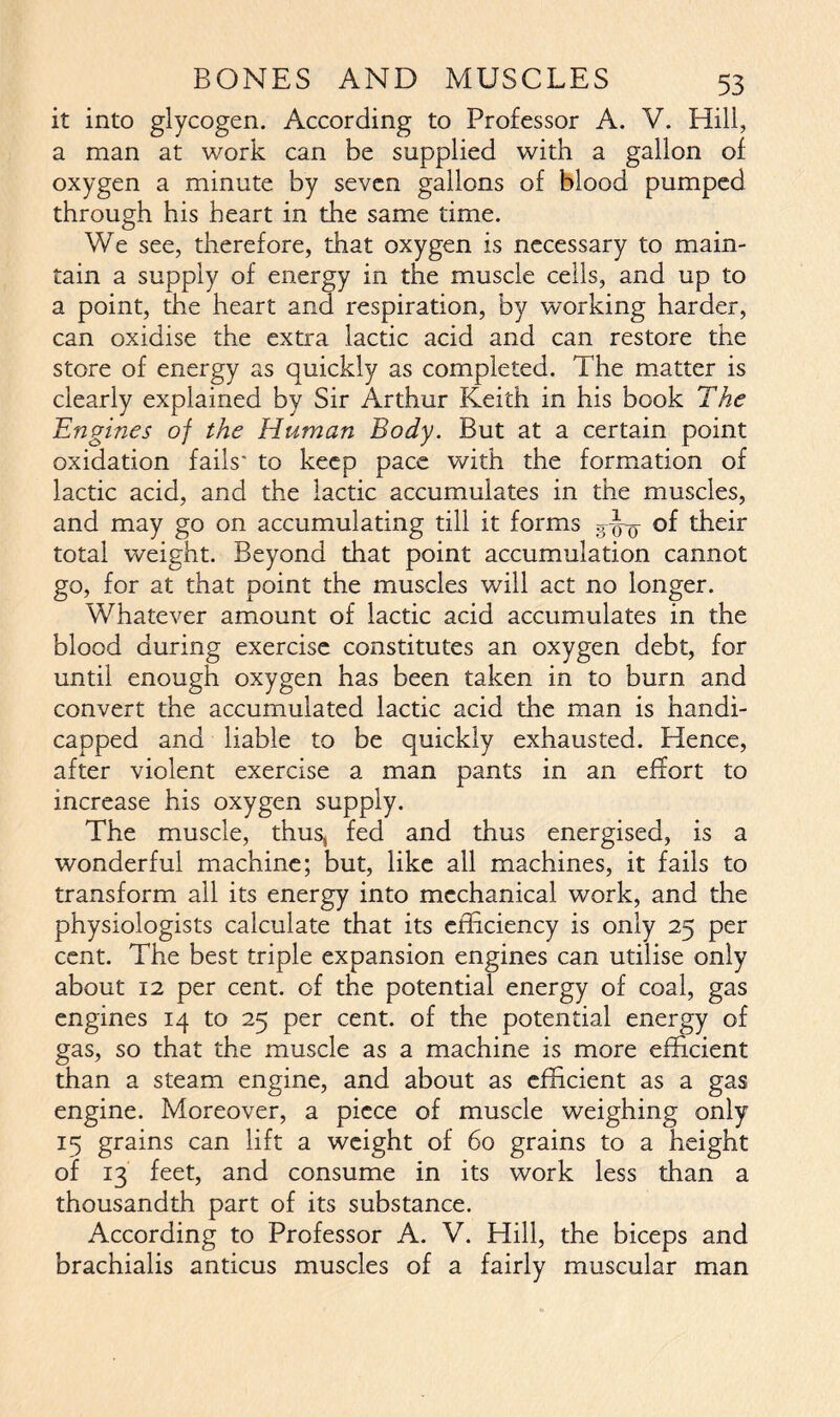 it into glycogen. According to Professor A. V. Hill, a man at work can be supplied with a gallon of oxygen a minute by seven gallons of blood pumped through his heart in the same time. We see, therefore, that oxygen is necessary to main- tain a supply of energy in the muscle cells, and up to a point, the heart and respiration, by working harder, can oxidise the extra lactic acid and can restore the store of energy as quickly as completed. The matter is clearly explained by Sir Arthur Keith in his book The Engines of the Human Body. But at a certain point oxidation fails' to keep pace with the formation of lactic acid, and the lactic accumulates in the muscles, and may go on accumulating till it forms of their total weight. Beyond that point accumulation cannot go, for at that point the muscles will act no longer. Whatever amount of lactic acid accumulates in the blood during exercise constitutes an oxygen debt, for until enough oxygen has been taken in to burn and convert the accumulated lactic acid the man is handi- capped and liable to be quickly exhausted. Hence, after violent exercise a man pants in an effort to increase his oxygen supply. The muscle, thus, fed and thus energised, is a wonderful machine; but, like all machines, it fails to transform all its energy into mechanical work, and the physiologists calculate that its efficiency is only 25 per cent. The best triple expansion engines can utilise only about 12 per cent, of the potential energy of coal, gas engines 14 to 25 per cent, of the potential energy of gas, so that the muscle as a machine is more efficient than a steam engine, and about as efficient as a gas engine. Moreover, a piece of muscle weighing only 15 grains can lift a weight of 60 grains to a height of 13 feet, and consume in its work less than a thousandth part of its substance. According to Professor A. V. Hill, the biceps and brachialis anticus muscles of a fairly muscular man