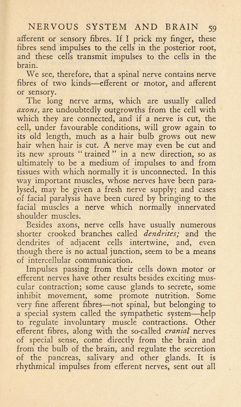 afferent or sensory fibres. If I prick my finger, these fibres send impulses to the cells in the posterior root, and these cells transmit impulses to the cells in the brain. We see, therefore, that a spinal nerve contains nerve fibres of two kinds—efferent or motor, and afferent or sensory. The long nerve arms, which are usually called axons, are undoubtedly outgrowths from the cell with which they are connected, and if a nerve is cut, the cell, under favourable conditions, will grow again to its old length, much as a hair bulb grows out new hair when hair is cut. A nerve may even be cut and its new sprouts “ trained ” in a new direction, so as ultimately to be a medium of impulses to and from tissues with which normally it is unconnected. In this way important muscles, whose nerves have been para- lysed, may be given a fresh nerve supply; and cases of facial paralysis have been cured by bringing to the facial muscles a nerve which normally innervated shoulder muscles. Besides axons, nerve cells have usually numerous shorter crooked branches called dendrites; and the dendrites of adjacent cells intertwine, and, even though there is no actual junction, seem to be a means of intercellular communication. Impulses passing from their cells down motor or efferent nerves have other results besides exciting mus- cular contraction; some cause glands to secrete, some inhibit movement, some promote nutrition. Some very fine afferent fibres—not spinal, but belonging to a special system called the sympathetic system—help to regulate involuntary muscle contractions. Other efferent fibres, along with the so-called cranial nerves of special sense, come directly from the brain and from the bulb of the brain, and regulate the secretion of the pancreas, salivary and other glands. It is rhythmical impulses from efferent nerves, sent out all