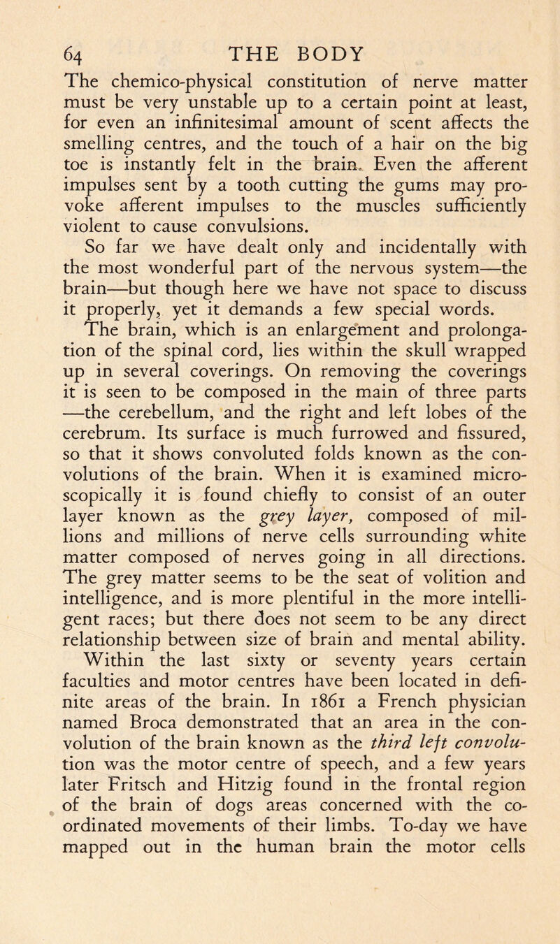 The chemico-physical constitution of nerve matter must be very unstable up to a certain point at least, for even an infinitesimal amount of scent affects the smelling centres, and the touch of a hair on the big toe is instantly felt in the brain. Even the afferent impulses sent by a tooth cutting the gums may pro- voke afferent impulses to the muscles sufficiently violent to cause convulsions. So far we have dealt only and incidentally with the most wonderful part of the nervous system—the brain—but though here we have not space to discuss it properly, yet it demands a few special words. The brain, which is an enlargement and prolonga- tion of the spinal cord, lies within the skull wrapped up in several coverings. On removing the coverings it is seen to be composed in the main of three parts —the cerebellum, and the right and left lobes of the cerebrum. Its surface is much furrowed and fissured, so that it shows convoluted folds known as the con- volutions of the brain. When it is examined micro- scopically it is found chiefly to consist of an outer layer known as the grey layer, composed of mil- lions and millions of nerve cells surrounding white matter composed of nerves going in all directions. The grey matter seems to be the seat of volition and intelligence, and is more plentiful in the more intelli- gent races; but there does not seem to be any direct relationship between size of brain and mental ability. Within the last sixty or seventy years certain faculties and motor centres have been located in defi- nite areas of the brain. In 1861 a French physician named Broca demonstrated that an area in the con- volution of the brain known as the third left convolu- tion was the motor centre of speech, and a few years later Fritsch and Hitzig found in the frontal region of the brain of dogs areas concerned with the co- ordinated movements of their limbs. To-day we have mapped out in the human brain the motor cells