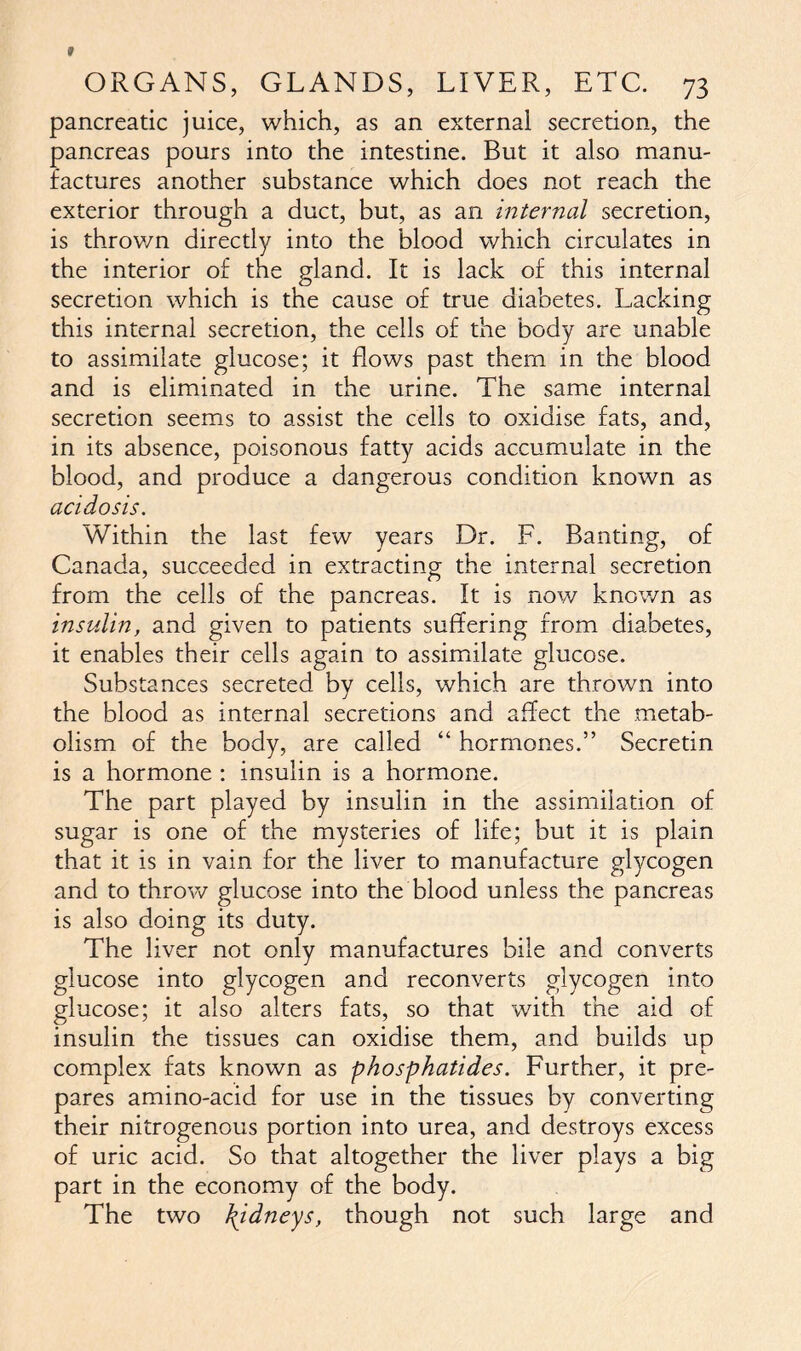 pancreatic juice, which, as an external secretion, the pancreas pours into the intestine. But it also manu- factures another substance which does not reach the exterior through a duct, but, as an internal secretion, is thrown directly into the blood which circulates in the interior of the gland. It is lack of this internal secretion which is the cause of true diabetes. Lacking this internal secretion, the cells of the body are unable to assimilate glucose; it flows past them in the blood and is eliminated in the urine. The same internal secretion seems to assist the cells to oxidise fats, and, in its absence, poisonous fatty acids accumulate in the blood, and produce a dangerous condition known as acidosis. Within the last few years Dr. F. Banting, of Canada, succeeded in extracting the internal secretion from the cells of the pancreas. It is now known as insulin, and given to patients suffering from diabetes, it enables their cells again to assimilate glucose. Substances secreted by cells, which are thrown into the blood as internal secretions and affect the metab- olism of the body, are called “ hormones.” Secretin is a hormone : insulin is a hormone. The part played by insulin in the assimilation of sugar is one of the mysteries of life; but it is plain that it is in vain for the liver to manufacture glycogen and to throw glucose into the blood unless the pancreas is also doing its duty. The liver not only manufactures bile and converts glucose into glycogen and reconverts glycogen into glucose; it also alters fats, so that with the aid of insulin the tissues can oxidise them, and builds up complex fats known as phosphatides. Further, it pre- pares amino-acid for use in the tissues by converting their nitrogenous portion into urea, and destroys excess of uric acid. So that altogether the liver plays a big part in the economy of the body. The two \idneys, though not such large and