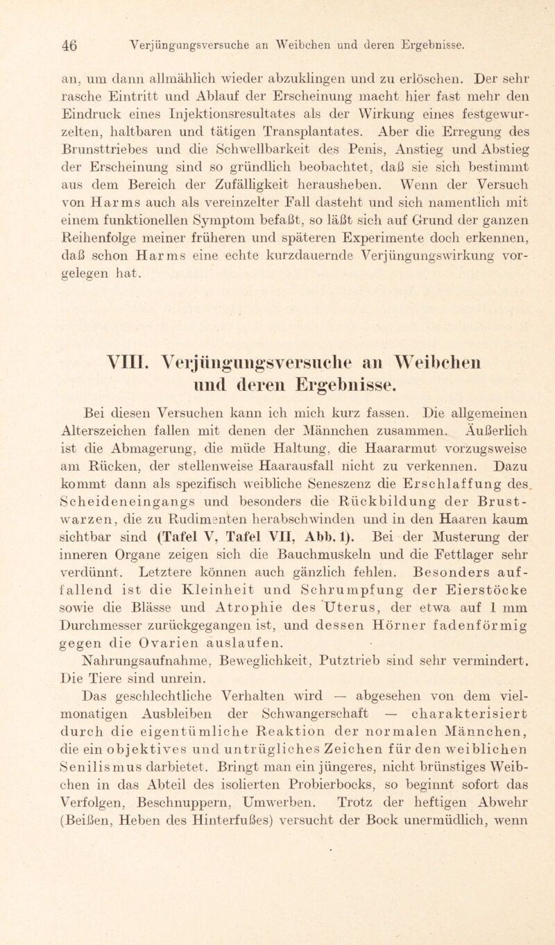 an, um dann allmählich wieder abzuklingen und zu erlöschen. Der sehr rasche Eintritt und Ablauf der Erscheinung macht hier fast mehr den Eindruck eines Injektionsresultates als der Wirkung eines festgewur¬ zelten, haltbaren und tätigen Transplantates. Aber die Erregung des Brunsttriebes und die Schwellbarkeit des Penis, Anstieg und Abstieg der Erscheinung sind so gründlich beobachtet, daß sie sich bestimmt aus dem Bereich der Zufälligkeit herausheben. AVenn der Versuch von Harms auch als vereinzelter Fall dasteht und sich namentlich mit einem funktionellen Symptom befaßt, so läßt sich auf Grund der ganzen Reihenfolge meiner früheren und späteren Experimente doch erkennen, daß schon Harms eine echte kurzdauernde VerjüngungsWirkung Vor¬ gelegen hat. VIII. Verjüngungsversiiche an Weibchen und deren Ergebnisse. Bei diesen Versuchen kann ich mich kurz fassen. Die allgemeinen Alterszeichen fallen mit denen der Männchen zusammen. Äußerlich ist die Abmagerung, die müde Haltung, die Haararmut vorzugsweise am Rücken, der stellenweise Haarausfall nicht zu verkennen. Dazu kommt dann als spezifisch Aveibliche Seneszenz die Erschlaffung des Scheideneingangs und besonders die Rückbildung der Brust¬ warzen, die zu Rudimenten herabschwinden und in den Haaren kaum sichtbar sind (Tafel V, Tafel VII, Abb, 1). Bei der Musterung der inneren Organe zeigen sich die Bauchmuskeln und die Eettlager sehr verdünnt. Letztere können auch gänzlich fehlen. Besonders auf¬ fallend ist die Kleinheit und Schrumpfung der Eierstöcke sowie die Blässe und Atrophie des Uterus, der etwa auf 1 mm Durchmesser zurückgegangen ist, und dessen Hörner fadenförmig gegen die Ovarien auslaufen. Nahrungsaufnahme, Beweglichkeit, Putztrieb sind sehr vermindert. Die Tiere sind unrein. Das geschlechtliche Verhalten wird — abgesehen von dem viel- monatigen Ausbleiben der Schwangerschaft — charakterisiert durch die eigentümliche Reaktion der normalen Männchen, die ein objektives und untrügliches Zeichen für den weiblichen Senilismus dar bietet. Bringt man ein jüngeres, nicht brünstiges Weib¬ chen in das Abteil des isolierten Probierbocks, so beginnt sofort das Verfolgen, Beschnuppern, Umwerben. Trotz der heftigen Abwehr (Beißen, Heben des Hinterfußes) versucht der Bock unermüdlich, wenn