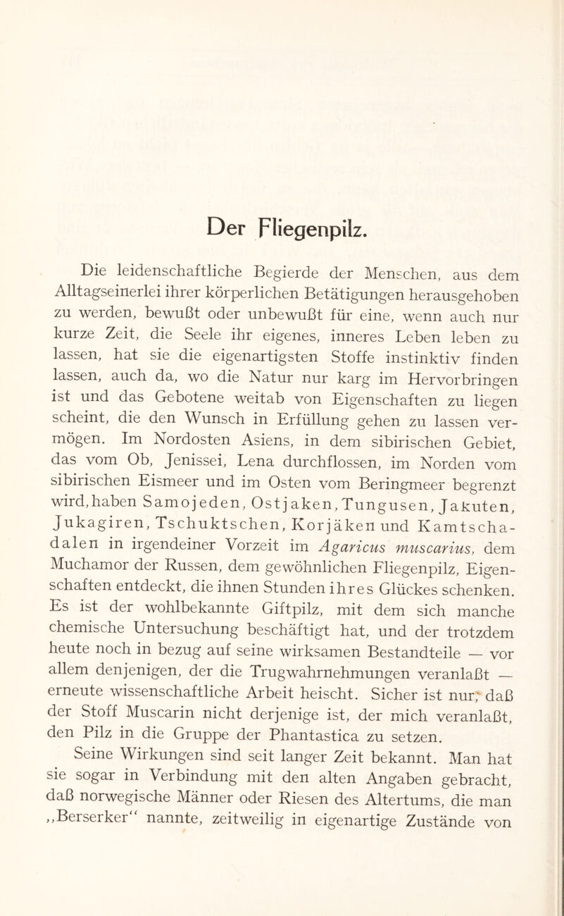 Der Fliegenpilz. Die leidenschaftliche Begierde der Menschen, aus dem Alltagseinerlei ihrer körperlichen Betätigungen herausgehoben zu werden, bewußt oder unbewußt für eine, wenn auch nur kurze Zeit, die Seele ihr eigenes, inneres Leben leben zu lassen, hat sie die eigenartigsten Stoffe instinktiv finden lassen, auch da, wo die Natur nur karg im Hervorbringen ist und das Gebotene weitab von Eigenschaften zu liegen scheint, die den Wunsch in Erfüllung gehen zu lassen ver¬ mögen. Im Nordosten Asiens, in dem sibirischen Gebiet, das vom Ob, Jenissei, Lena durchflossen, im Norden vom sibirischen Eismeer und im Osten vom Beringmeer begrenzt wird,haben Samojeden, Ostjaken,Tungusen,Jakuten, Jukagiren, Tschuktschen, Korjaken und Kamtscha- dalen in irgendeiner Vorzeit im Agaricus muscarius, dem Muchamor der Russen, dem gewöhnlichen Fliegenpilz, Eigen¬ schaften entdeckt, die ihnen Stunden ihres Glückes schenken. Es ist der wohlbekannte Giftpilz, mit dem sich manche chemische Untersuchung beschäftigt hat, und der trotzdem heute noch in bezug auf seine wirksamen Bestandteile — vor allem denjenigen, der die Trugwahrnehmungen veranlaßt — erneute wissenschaftliche Arbeit heischt. Sicher ist nur; daß der Stoif Muscarin nicht derjenige ist, der mich veranlaßt, den Pilz in die Gruppe der Phantastica zu setzen. Seine Wirkungen sind seit langer Zeit bekannt. Man hat sie sogar in Verbindung mit den alten Angaben gebracht, daß norwegische Männer oder Riesen des Altertums, die man „Berserker“ nannte, zeitweilig in eigenartige Zustände von