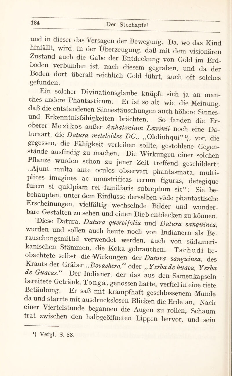 und in dieser das Versagen der Bewegung. Da, wo das Kind hinfallt, wird, in der Überzeugung, daß mit dem visionären Zustand auch die Gabe der Entdeckung von Gold im Erd¬ boden verbunden ist, nach diesem gegraben, und da der Boden dort überall reichlich Gold führt, auch oft solches gefunden. Ein solcher Divinationsglaube knüpft sich ja an man- ches andere Phantasticum. Er ist so alt wie die Meinung, daß die entstandenen Sinnestäuschungen auch höhere Sinnes¬ und Erkenntnisfähigkeiten brächten. So fanden die Er¬ oberer Mexikos außer Anhalonium Lewinii noch eine Da¬ turaart, die Datura meteloides DC„ „Ololiuhqui“1), vor, die gegessen, die Fähigkeit verleihen sollte, gestohlene Gegen¬ stände ausfindig zu machen. Die Wirkungen einer solchen Pflanze wurden schon zu jener Zeit treffend geschildert: ,,Ajunt multa ante oculos observari phantasmata, multi- puces imagines ac monstrificas rerum figuras, detegique furem si quidpiam rei familiaris subreptum sit“: Sie be- behaupten, unter dem Einflüsse derselben viele phantastische Erscheinungen, vielfältig wechselnde Bilder und wunder¬ bare Gestalten zu sehen und einen Dieb entdecken zu können. Diese Datura, Datura quercifolia und Datura sanguinea, wurden und sollen auch heute noch von Indianern als Be¬ rauschungsmittel verwendet werden, auch von südameri¬ kanischen Stämmen, die Koka gebrauchen. Tschudi be¬ obachtete selbst die Wirkungen der Datura sanguinea, des Krauts der Gräber „Bovaehero, oder „Yerba de huaca, Yerba c uacas. Der Indianer, der das aus den Samenkapseln bereitete Getränk, Tonga, genossen hatte, verfiel in eine tiefe Betäubung. Er saß mit krampfhaft geschlossenem Munde da und starrte mit ausdruckslosen Blicken die Erde an. Nach einer Viertelstunde begannen die Augen zu rollen, Schaum trat zwischen den halbgeöffneten Lippen hervor, und sein *) Vefgl. S. 88.