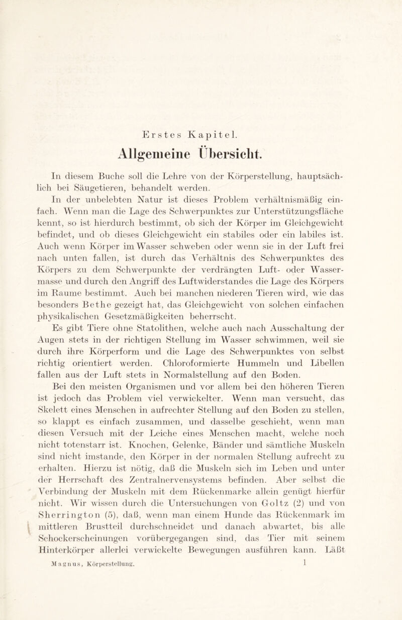 Erstes Kapitel. Allgemeine Übersicht. In diesem Buche soll die Lehre von der Körperstellung, hauptsäch¬ lich bei Säugetieren, behandelt werden. In der unbelebten Natur ist dieses Problem verhältnismäßig ein¬ fach. Wenn man die Lage des Schwerpunktes zur Unterstützungsfläche kennt, so ist hierdurch bestimmt, ob sich der Körper im Gleichgewicht befindet, und ob dieses Gleichgewicht ein stabiles oder ein labiles ist. Auch wenn Körper im Wasser schweben oder wenn sie in der Luft frei nach unten fallen, ist durch das Verhältnis des Schwerpunktes des Körpers zu dem Schwerpunkte der verdrängten Luft- oder Wasser¬ masse und durch den Angriff des Luftwiderstandes die Lage des Körpers im Raume bestimmt. Auch bei manchen niederen Tieren wird, wie das besonders Bethe gezeigt hat, das Gleichgewicht von solchen einfachen physikalischen Gesetzmäßigkeiten beherrscht. Es gibt Tiere ohne Statolithen, welche auch nach Ausschaltung der Augen stets in der richtigen Stellung im Wasser schwimmen, weil sie durch ihre Körperform und die Lage des Schwerpunktes von selbst richtig orientiert werden. Chloroformierte Hummeln und Libellen fallen aus der Luft stets in Normalstellung auf den Boden. Bei den meisten Organismen und vor allem bei den höheren Tieren ist jedoch das Problem viel verwickelter. Wenn man versucht, das Skelett eines Menschen in aufrechter Stellung auf den Boden zu stellen, so klappt es einfach zusammen, und dasselbe geschieht, wenn man diesen Versuch mit der Leiche eines Menschen macht, welche noch nicht totenstarr ist. Knochen, Gelenke, Bänder und sämtliche Muskeln sind nicht imstande, den Körper in der normalen Stellung aufrecht zu erhalten. Hierzu ist nötig, daß die Muskeln sich im Leben und unter der Herrschaft des Zentralnervensystems befinden. Aber selbst die Verbindung der Muskeln mit dem Rückenmarke allein genügt hierfür nicht. Wir wissen durch die Untersuchungen von Goltz (2) und von Sh errington (5), daß, wenn man einem Hunde das Rückenmark im mittleren Brustteil durchschneidet und danach abwartet, bis alle Schockerscheinungen vorübergegangen sind, das Tier mit seinem Hinterkörper allerlei verwickelte Bewegungen ausführen kann. Läßt Magnus, Körperstellung.