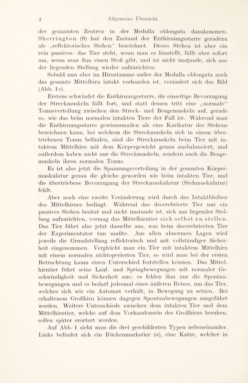 der genannten Zentren in der Medulla oblongata dazukommen. Sherrington (9) hat den Zustand der Enthirnungsstarre geradezu als „reflektorisches Stehen“ bezeichnet. Dieses Stehen ist aber ein * rein passives: das Tier steht, wenn man es hinstellt, fällt aber sofort um, wenn man ihm einen Stoß gibt, und ist nicht imstande, sich aus der liegenden Stellung wieder aufzurichten. Sobald nun aber im Hirnstamme außer der Medulla oblongata noch das gesamte Mittelhirn intakt vorhanden ist, verändert sich das Bild (Abb. 1c). Erstens schwindet die Enthirnungsstarre, die einseitige Bevorzugung der Streckmuskeln fällt fort, und statt dessen tritt eine ,,normale“ Tonusverteilung zwischen den Streck- und Beugemuskeln auf, gerade so, wie das beim normalen intakten Tiere der Fall ist. Während man die Enthirnungsstarre gewissermaßen als eine Karikatur des Stehens bezeichnen kann, bei welchem die Streckmuskeln sich in einem über¬ triebenen Tonus befinden, sind die Streckmuskeln beim Tier mit in¬ taktem Mittelhirn mit dem Körpergewicht genau ausbalanciert, und außerdem haben nicht nur die Streckmuskeln, sondern auch die Beuge¬ muskeln ihren normalen Tonus. Es ist also jetzt die Spannungsverteilung in der gesamten Körper- muskulatur genau die gleiche geworden wie beim intakten Tier, und die übertriebene Bevorzugung der Streckmuskulatur (Stehmuskulatur) fehlt. Aber noch eine zweite Veränderung wird durch das Intaktbleiben des Mittelhirnes bedingt. Während das decerebrierte Tier nur ein passives Stehen besitzt und nicht imstande ist, sich aus liegender Stel¬ lung aufzurichten, vermag das Mittelhirntier sich selbst zu stellen. Das Tier führt also jetzt dasselbe aus, was beim decerebrierten Tier der Experimentator tun mußte. Aus allen abnormen Lagen wird jeweils die Grundstellung reflektorisch und mit vollständiger Sicher¬ heit eingenommen. Vergleicht man ein Tier mit intaktem Mittelhirn mit einem normalen nichtoperierten Tier, so wird man bei der ersten Betrachtung kaum einen Unterschied feststellen können. Das Mittel¬ hirntier führt seine Lauf- und Springbewegungen mit normaler Ge¬ schwindigkeit und Sicherheit aus; es fehlen ihm nur die Spontan¬ bewegungen und es bedarf jedesmal eines äußeren Reizes, um das Tier, welches sich wie ein Automat verhält, in Bewegung zu setzen. Bei erhaltenem Großhirn können dagegen Spontanbewegungen ausgeführt werden. Weitere Unterschiede zwischen dem intakten Tier und dem Mittelhirntier, welche auf dem Vorhandensein des Großhirns beruhen, sollen später erörtert werden. Auf Abb. 1 sieht man die drei geschilderten Typen nebeneinander. Links befindet sich ein Rückenmarkstier (a), eine Katze, welcher in