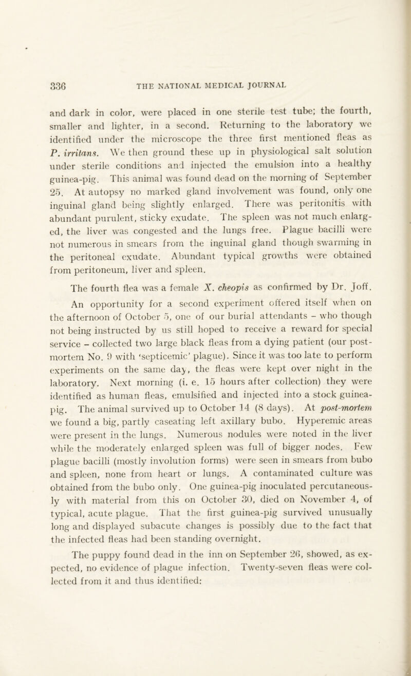 and dark in color, were placed in one sterile test tube; the fourth, smaller and lighter, in a second. Returning to the laboratory we identified under the microscope the three first mentioned fleas as P. irritans. We then ground these up in physiological salt solution under sterile conditions and injected the emulsion into a healthy guinea-pig. This animal was found dead on the morning of September 25. At autopsy no marked gland involvement was found, only one inguinal gland being slightly enlarged. There was peritonitis with abundant purulent, sticky exudate. The spleen was not much enlarg¬ ed, the liver was congested and the lungs free. Plague bacilli were not numerous in smears from the inguinal gland though swarming in the peritoneal exudate. Abundant typical growths were obtained from peritoneum, liver and spleen. The fourth flea was a female X. cheopis as confirmed by Dr. Joff. An opportunity for a second experiment offered itself when on the afternoon of October 5, one of our burial attendants - who though not being instructed by us still hoped to receive a reward for special service — collected two large black fleas from a dying patient (oui post¬ mortem No. 9 with ‘septicemic’ plague). Since it was too late to perform experiments on the same day, the fleas were kept over night in the laboratory. Next morning (i. e. 15 hours after collection) they were identified as human fleas, emulsified and injected into a stock guinea- pig. The animal survived up to October 14 (8 days). At post-mortem we found a big, partly caseating left axillary bubo. Hyperemic areas were present in the lungs. Numerous nodules were noted in the liver while the moderately enlarged spleen was full of bigger nodes. Few plague bacilli (mostly involution forms) were seen in smears from bubo and spleen, none from heart or lungs. A contaminated culture was obtained from the bubo only. One guinea-pig inoculated percutaneous- ly with material from this on October 30, died on November 4, of typical, acute plague. That the first guinea-pig survived unusually long and displayed subacute changes is possibly due to the fact that the infected fleas had been standing overnight. The puppy found dead in the inn on September 26, showed, as ex¬ pected, no evidence of plague infection. Twenty-seven fleas were col¬ lected from it and thus identified: