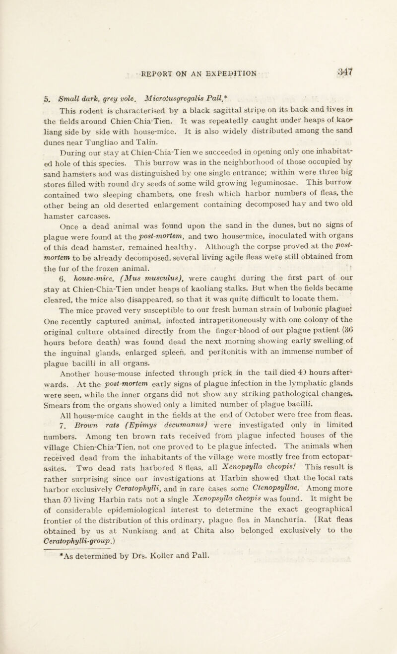 5. Small dark, grey vole. Microlusgregalis Pall* This rodent is characterised by a black sagittal stripe on its back and lives in the fields around Chien-Chia-Tien. It was repeatedly caught under heaps of kao¬ liang side by side with house-mice. It is also widely distributed among the sand dunes near Tungliao and Talin. During our stay at Chien-Chia-Tien we succeeded in opening only one inhabitat- ed hole of this species. This burrow was in the neighborhood of those occupied by sand hamsters and was distinguished by one single entrance; within were three big stores filled with round dry seeds of some wild growing leguminosae. This burrow contained two sleeping chambers, one fresh which harbor numbers of fleas, the other being an old deserted enlargement containing decomposed hay and two old hamster carcases. Once a dead animal was found upon the sand in the dunes, but no signs of plague were found at the post-mortem, and two house-mice, inoculated with organs of this dead hamster, remained healthy. Although the corpse proved at the post¬ mortem to be already decomposed, several living agile fleas were still obtained from the fur of the frozen animal. 6. house-mice. (Mus musculus), were caught during the first part of our stay at Chien-Chia-Tien under heaps of kaoliang stalks. But when the fields became cleared, the mice also disappeared, so that it was quite difficult to locate them. The mice proved very susceptible to our fresh human strain of bubonic plague: One recently captured animal, infected intraperitoneously with one colony of the original culture obtained directly from the finger-blood of our plague patient (36 hours before death) was found dead the next morning showing early swelling of the inguinal glands, enlarged spleen, and peritonitis with an immense number of plague bacilli in all organs. Another house-mouse infected through prick in the tail died 43 hours after¬ wards. At the post-mortem early signs of plague infection in the lymphatic glands were seen, while the inner organs did not show any striking pathological changes. Smears from the organs showed only a limited number of plague bacilli. All house-mice caught in the fields at the end of October were free from fleas. 7. Broivn rats (Epimys decumanus) were investigated only in limited numbers. Among ten brown rats received from plague infected houses of the village Chien-Chia-Tien, not one proved to be plague infected. The animals when received dead from the inhabitants of the village were mostly free from ectopar¬ asites. Two dead rats harbored 8 fleas, all Xenopsylla cheupis! This result is rather surprising since our investigations at Harbin showed that the local rats harbor exclusively Ceratophylli, and in rare cases some Ctenopsyllae. Among more than 50 living Harbin rats not a single Xenopsylla cheopis was found. It might be of considerable epidemiological interest to determine the exact geographical frontier of the distribution of this ordinary, plague flea in Manchuria. (Rat fleas obtained by us at Nunkiang and at Chita also belonged exclusively to the Ceratophylli-group.) * As determined by Drs. Roller and Pall.