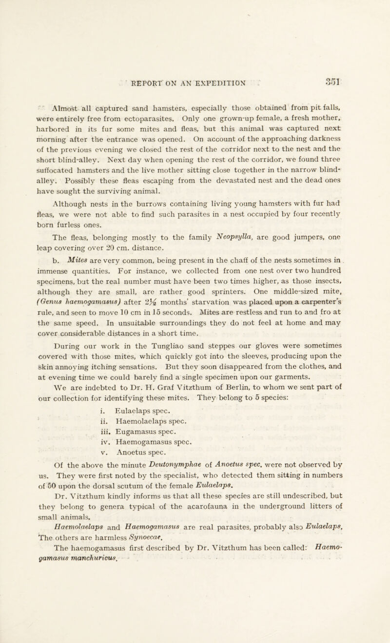 Almost all captured sand hamsters, especially those obtained from pit falls, were entirely free from ectoparasites. Only one grown-up female, a fresh mother, harbored in its fur some mites and fleas, but this animal was captured next morning after the entrance was opened. On account of the approaching darkness of the previous evening we closed the rest of the corridor next to the nest and the short blind-alley. Next day when opening the rest of the corridor, we found three suffocated hamsters and the live mother sitting close together in the narrow blind- alley. Possibly these fleas escaping from the devastated nest and the dead ones have sought the surviving animal. Although nests in the burrows containing living young hamsters with fur had fleas, we were not able to find such parasites in a nest occupied by four recently born furless ones. The fleas, belonging mostly to the family Neopsylla, are good jumpers, one leap covering over 20 cm. distance. b. Mites are very common, being present in the chaff of the nests sometimes in . immense quantities. For instance, we collected from one nest over two hundred specimens, but the real number must have been two times higher, as those insects, although they are small, are rather good sprinters. One middle-sized mite, (Genus haemogamasus ) after months’ starvation was placed upon a carpenter’s rule, and seen to move 10 cm in 15 seconds. Mites are restless and run to and fro at the same speed. In unsuitable surroundings they do not feel at home and may cover considerable distances in a short time. During our work in the Tungliao sand steppes our gloves were sometimes covered with those mites, which quickly got into the sleeves, producing upon the skin annoying itching sensations. But they soon disappeared from the clothes, and at evening time we could barely find a single specimen upon our garments. We are indebted to Dr. H. Graf Vitzthum of Berlin, to whom we sent part of our collection for identifying these mites. They belong to 5 species: i. Eulaelaps spec. ii. Haemolaelaps spec. iii. Eugamasus spec. iv. Haemogamasus spec. v. Anoetus spec. Of the above the minute Deutonymphae of Anoetus spec, were not observed by us. They were first noted by the specialist, who detected them sitting in numbers of 50 upon the dorsal scutum of the female Eulaelaps. Dr. Vitzthum kindly informs us that all these species are still undescribed, but they belong to genera typical of the acarofauna in the underground litters of small animals. Haemolaelaps and Haemogamasus are real parasites, probably also Eulaelaps, The others are harmless Synoecae. The haemogamasus first described by Dr. Vitzthum has been called: Haemo¬ gamasus manchuricus,