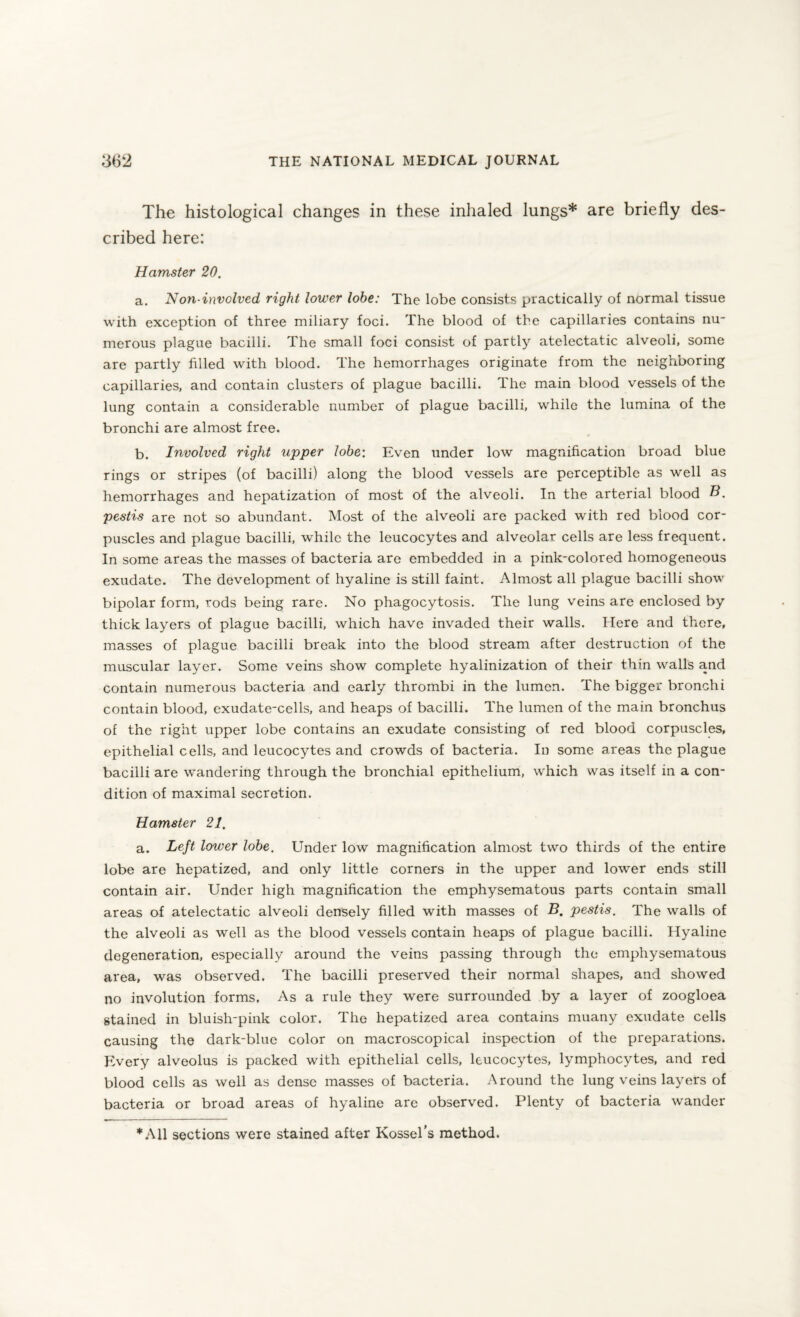The histological changes in these inhaled lungs* are briefly des¬ cribed here: Hamster 20. a. Non-involved right lower lobe: The lobe consists practically of normal tissue with exception of three miliary foci. The blood of the capillaries contains nu¬ merous plague bacilli. The small foci consist of partly atelectatic alveoli, some are partly filled with blood. The hemorrhages originate from the neighboring capillaries, and contain clusters of plague bacilli. The main blood vessels of the lung contain a considerable number of plague bacilli, while the lumina of the bronchi are almost free. b. Involved right upper lobe: Even under low magnification broad blue rings or stripes (of bacilli) along the blood vessels are perceptible as well as hemorrhages and hepatization of most of the alveoli. In the arterial blood B. pestis are not so abundant. Most of the alveoli are packed with red blood cor¬ puscles and plague bacilli, while the leucocytes and alveolar cells are less frequent. In some areas the masses of bacteria are embedded in a pink-colored homogeneous exudate. The development of hyaline is still faint. Almost all plague bacilli show bipolar form, rods being rare. No phagocytosis. The lung veins are enclosed by thick layers of plague bacilli, which have invaded their walls. Here and there, masses of plague bacilli break into the blood stream after destruction of the muscular layer. Some veins show complete hyalinization of their thin walls and contain numerous bacteria and early thrombi in the lumen. The bigger bronchi contain blood, exudate-cells, and heaps of bacilli. The lumen of the main bronchus of the right upper lobe contains an exudate consisting of red blood corpuscles, epithelial cells, and leucocytes and crowds of bacteria. In some areas the plague bacilli are wandering through the bronchial epithelium, which was itself in a con¬ dition of maximal secretion. Hamster 21. a. Left lower lobe. Under low magnification almost two thirds of the entire lobe are hepatized, and only little corners in the upper and lower ends still contain air. Under high magnification the emphysematous parts contain small areas of atelectatic alveoli densely filled with masses of B. pestis. The walls of the alveoli as well as the blood vessels contain heaps of plague bacilli. Hyaline degeneration, especially around the veins passing through the emphysematous area, was observed. The bacilli preserved their normal shapes, and showed no involution forms. As a rule they were surrounded by a layer of zoogloea stained in bluish-pink color. The hepatized area contains muany exudate cells causing the dark-blue color on macroscopical inspection of the preparations. Every alveolus is packed with epithelial cells, leucocytes, lymphocytes, and red blood cells as well as dense masses of bacteria. Around the lung veins layers of bacteria or broad areas of hyaline arc observed. Plenty of bacteria wander *A11 sections were stained after Kossel’s method.