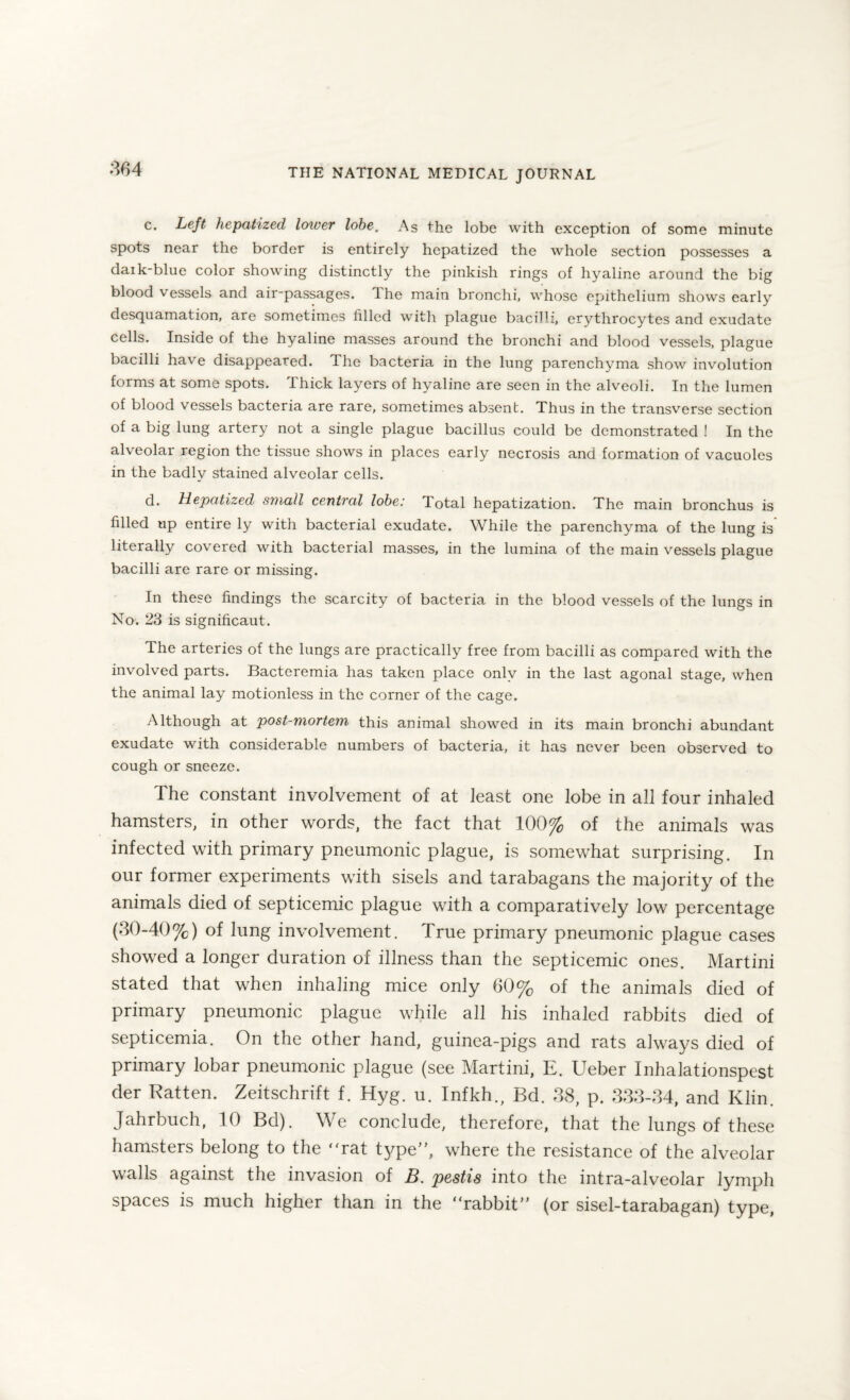 c. Left hepatized lower lobe. As ^he lobe with exception of some minute spots near the border is entirely hepatized the whole section possesses a daik-blue color showing distinctly the pinkish rings of hyaline around the big bloodvessels and air-passages. The main bronchi, whose epithelium shows early desquamation, are sometimes filled with plague bacilli, erythrocytes and exudate cells. Inside of the hyaline masses around the bronchi and blood vessels, plague bacilli have disappeared. The bacteria in the lung parenchyma show involution forms at some spots. I hick layers of hyaline are seen in the alveoli. In the lumen of blood vessels bacteria are rare, sometimes absent. Thus in the transverse section of a big lung artery not a single plague bacillus could be demonstrated ! In the alveolar region the tissue shows in places early necrosis and formation of vacuoles in the badly stained alveolar cells. d. Hepatized small central lobe: Total hepatization. The main bronchus is filled up entire ly with bacterial exudate. While the parenchyma of the lung is literally covered with bacterial masses, in the lumina of the main vessels plague bacilli are rare or missing. In these findings the scarcity of bacteria in the blood vessels of the lungs in No. 23 is significaut. The arteries of the lungs are practically free from bacilli as compared with the involved parts. Bacteremia has taken place only in the last agonal stage, when the animal lay motionless in the corner of the cage. Although at post-mortem this animal showed in its main bronchi abundant exudate with considerable numbers of bacteria, it has never been observed to cough or sneeze. The constant involvement of at least one lobe in all four inhaled hamsters, in other words, the fact that 100% of the animals was infected with primary pneumonic plague, is somewhat surprising. In our former experiments with sisels and tarabagans the majority of the animals died of septicemic plague with a comparatively low percentage (30-40%) of lung involvement. True primary pneumonic plague cases showed a longer duration of illness than the septicemic ones. Martini stated that when inhaling mice only 60% of the animals died of primary pneumonic plague while all his inhaled rabbits died of septicemia. On the other hand, guinea-pigs and rats always died of primary lobar pneumonic plague (see Martini, E. Ueber Inhalationspest der Ratten. Zeitschrift f. Hyg. u. Infkh., Bd. 38, p. 333-34, and Klin. Jahrbuch, 10 Bd). We conclude, therefore, that the lungs of these hamsters belong to the rat t}7pe”, where the resistance of the alveolar walls against the invasion of B. pestis into the intra-alveolar lymph spaces is much higher than in the “rabbit” (or sisel-tarabagan) type,