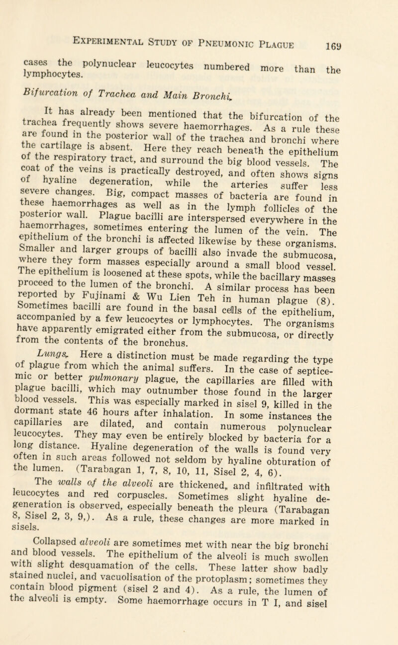 cases the polynuclear leucocytes numbered more lymphocytes. than the Bifurcation of Trachea and Main Bronchi. It has already been mentioned that the bifurcation of the rathea frequently shows severe haemorrhages. As a rule these are found in the posterior wall of the trachea and bronchi where e cartilage is absent. Here they reach beneath the epithelium the r«spn-atory tract, and surround the big blood vessels. The coat of the veins is practically destroyed, and often shows signs of hyaline degeneration, while the arteries suffer less severe changes. Big, compact masses of bacteria are found in ese haemorrhages as well as in the lymph follicles of the p sterior wall. Plague bacilli are interspersed everywhere in th“ haemorrhages, sometimes entering the lumen of the vein Tim epithelium of the bronchi is affected likewise by these organisms. wher th3 r g6r gr°UPS °f baciHi also invad€ the submucosa, where they form masses especially around a small blood vessel. e epithelium is loosened at these spots, while the bacillary masses proceed to the lumen of the bronchi. A similar process haT been reported by Fujmami & Wu Lien Teh in human plague (8). ometimes bacilli are found in the basal cells of the epithelium accompanied by a few leucocytes or lymphocytes. The organisms have apparently emigrated either from the submucosa, or directly from the contents of the bronchus y Lungs Here a distinction must be made regarding the type o plague from which the animal suffers. In the case of septice¬ mic or better pulmonary plague, the capillaries are filled with plague bacilli, which may outnumber those found in the larger blood vessels. This was especially marked in sisel 9, killed in the dormant state 46 hours after inhalation. In some instances the capillaries are dilated, and contain numerous polynuclear eucocytes. They may even be entirely blocked by bacteria for a long distance. Hyaline degeneration of the walls is found very often in such areas followed not seldom by hyaline obturation of the lumen. (Tarabagan 1, 7, 8, 10, 11, Sisel 2, 4, 6). The walls o.f the alveoli are thickened, and infiltrated with leucocytes and red corpuscles. Sometimes slight hyaline de¬ generation is observed, especially beneath the pleura (Tarabagan , Sisel 2, 3, 9,). As a rule, these changes are more marked in sisels. Collapsed alveoli are sometimes met with near the big bronchi and blood vessels. The epithelium of the alveoli is much swollen with slight desquamation of the cells. These latter show badly stained nuclei, and vacuolisation of the protoplasm; sometimes thev contain blood pigment (sisel 2 and 4). As a rule, the lumen of the alveoli is empty. Some haemorrhage occurs in T I, and sisel