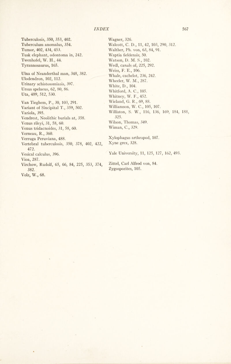 Tuberculosis, 350, 353, 402. Tuberculum anomalus, 354. Tumor, 402, 434, 453. Tusk elephant, odontoma in, 242. Twenhofel, W. H., 44. Tyrannosaurus, 165. Ulna of Neanderthal man, 348, 382. Ulodendron, 102, 112. Urinary schistosomiasis, 397. Ursus spelaeus, 62, 80, 86. Uta, 489, 512, 530. Van Tieghem, P., 30, 103, 291. Variant of Sincipital T., 359, 502. Variola, 395. Vendrest, Neolithic burials at, 358. Venus rileyi, 31, 58, 60. Venus tridacnoides, 31, 58, 60. Verneau, R., 360. Verruga Peruviana, 488. Vertebral tuberculosis, 350, 378, 402, 422, 472. Vesical calculus, 396. Vioa, 287. Virchow, Rudolf, 65, 66, 84, 225, 353, 374, 382. Volz, W., 68. Wagner, 326. Walcott, C. D., 11, 42, 103, 290, 312. Walther, Ph. von, 63, 84, 91. Waptia fieldensis-, 50. Watson, D. M. S., 102. Wedl, canals of, 225, 292. Weiss, F. E., 106. Whale, cachelot, 236, 242. Wheeler, W. M., 287. White, D., 104. Whitford, A. C., 105. Whitney, W. F., 452. Wieland, G. R., 69, 88. Williamson, W. C., 105, 107. Williston, S. W., 116, 136, 169, 184, 188, 325. Wilson, Thomas, 349. Wiman, C., 329. Xylophagus arthropod, 107. Xyne grex, 328. Yale University, 11, 125, 127, 162, 493. Zittel, Carl Alfred von, 84. Zygosporites, 105.