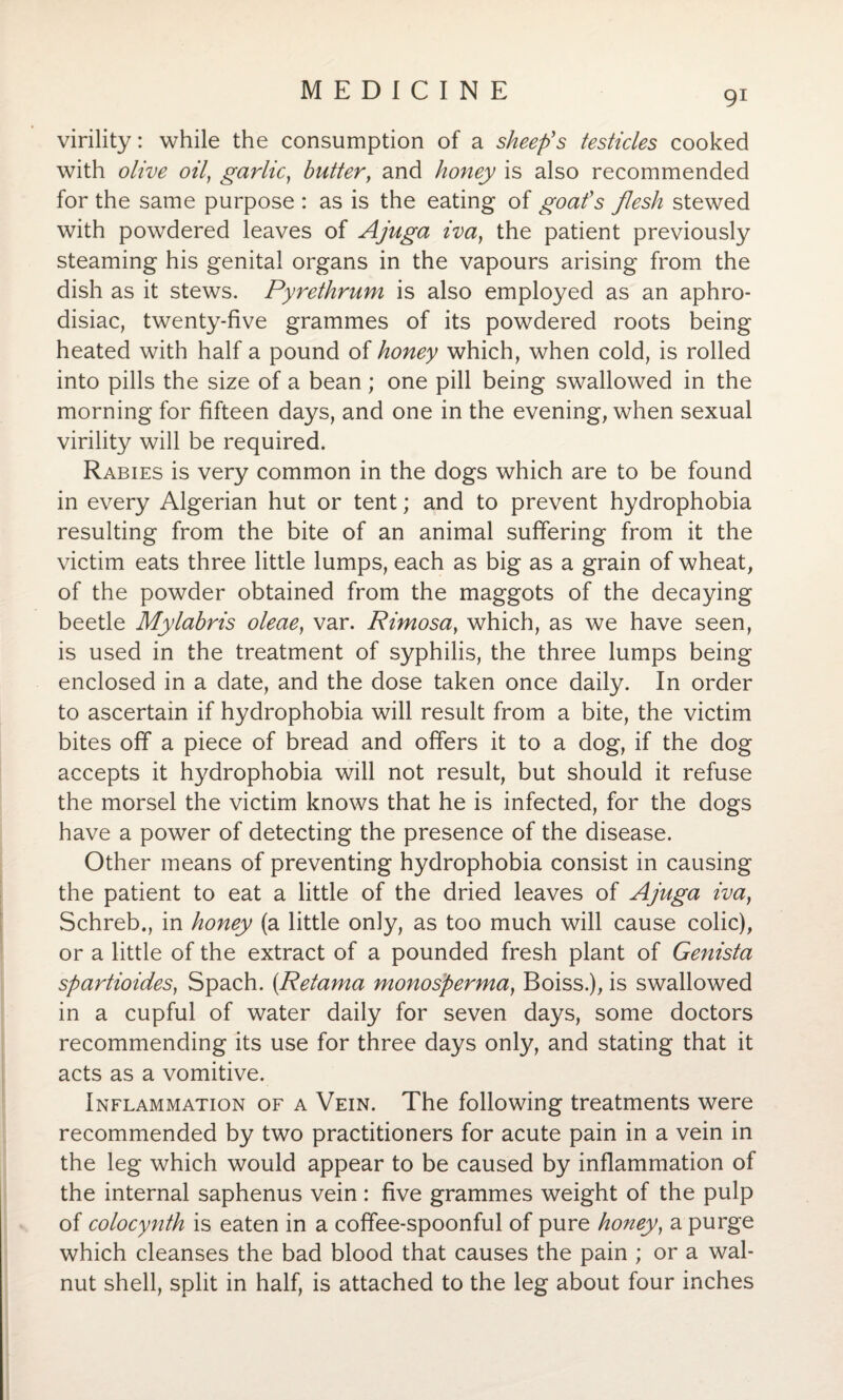 virility: while the consumption of a sheep's testicles cooked with olive oil, garlic, butter, and honey is also recommended for the same purpose : as is the eating of goafs flesh stewed with powdered leaves of Ajuga iva, the patient previously steaming his genital organs in the vapours arising from the dish as it stews. Pyrethrum is also employed as an aphro¬ disiac, twenty-five grammes of its powdered roots being heated with half a pound of honey which, when cold, is rolled into pills the size of a bean; one pill being swallowed in the morning for fifteen days, and one in the evening, when sexual virility will be required. Rabies is very common in the dogs which are to be found in every Algerian hut or tent; and to prevent hydrophobia resulting from the bite of an animal suffering from it the victim eats three little lumps, each as big as a grain of wheat, of the powder obtained from the maggots of the decaying beetle Mylabris oleae, var. Rimosaf which, as we have seen, is used in the treatment of syphilis, the three lumps being enclosed in a date, and the dose taken once daily. In order to ascertain if hydrophobia will result from a bite, the victim bites off a piece of bread and offers it to a dog, if the dog accepts it hydrophobia will not result, but should it refuse the morsel the victim knows that he is infected, for the dogs have a power of detecting the presence of the disease. Other means of preventing hydrophobia consist in causing the patient to eat a little of the dried leaves of Ajuga iva, Schreb., in honey (a little only, as too much will cause colic), or a little of the extract of a pounded fresh plant of Genista spartioides, Spach. (.Retama monosperma, Boiss.), is swallowed in a cupful of water daily for seven days, some doctors recommending its use for three days only, and stating that it acts as a vomitive. Inflammation of a Vein. The following treatments were recommended by two practitioners for acute pain in a vein in the leg which would appear to be caused by inflammation of the internal saphenus vein : five grammes weight of the pulp of colocynth is eaten in a coffee-spoonful of pure honey, a purge which cleanses the bad blood that causes the pain ; or a wal¬ nut shell, split in half, is attached to the leg about four inches