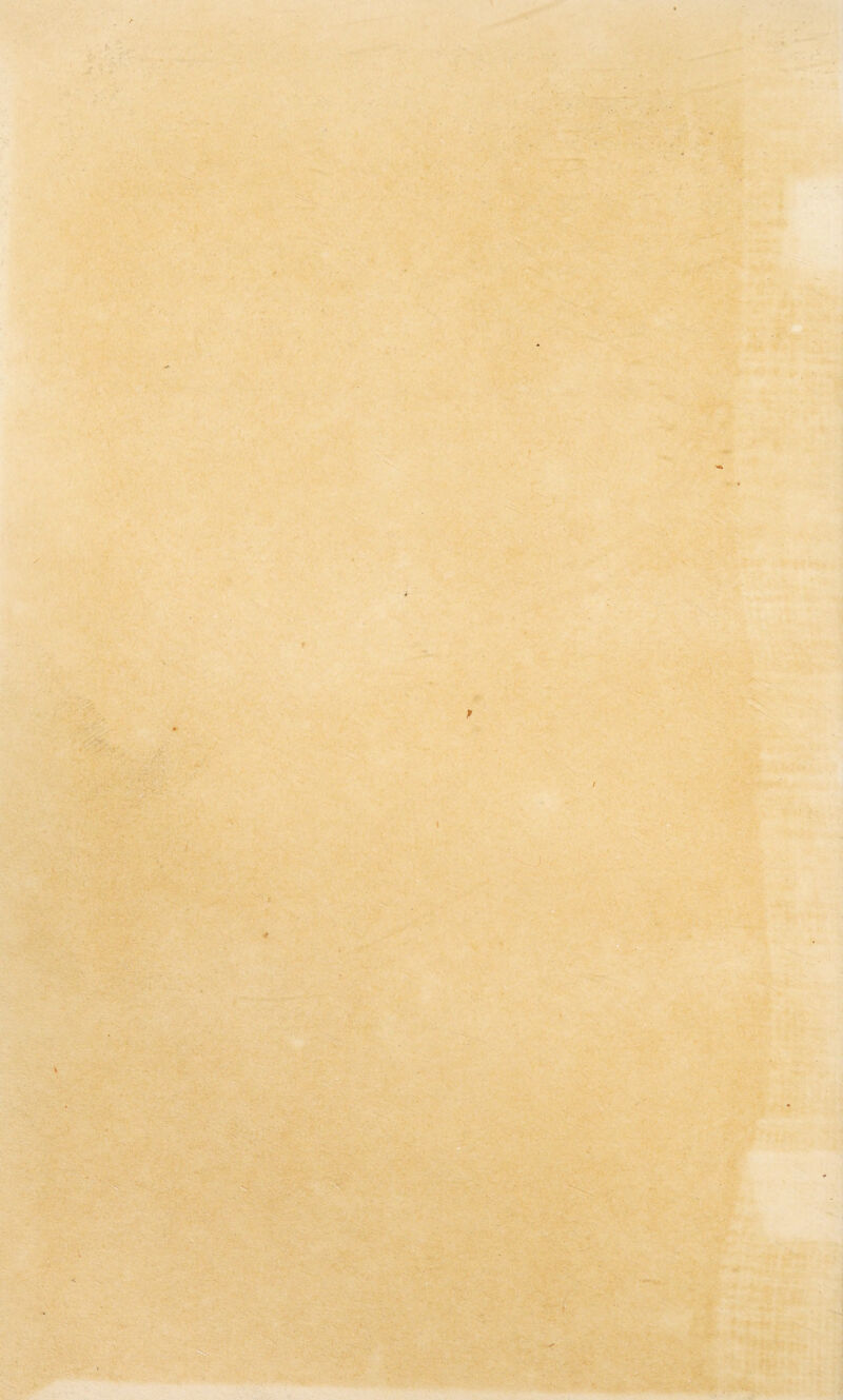 ' ■ ’■ «.? - ■ . : . 7 *»■:>x~.r$-. x a! a*. '