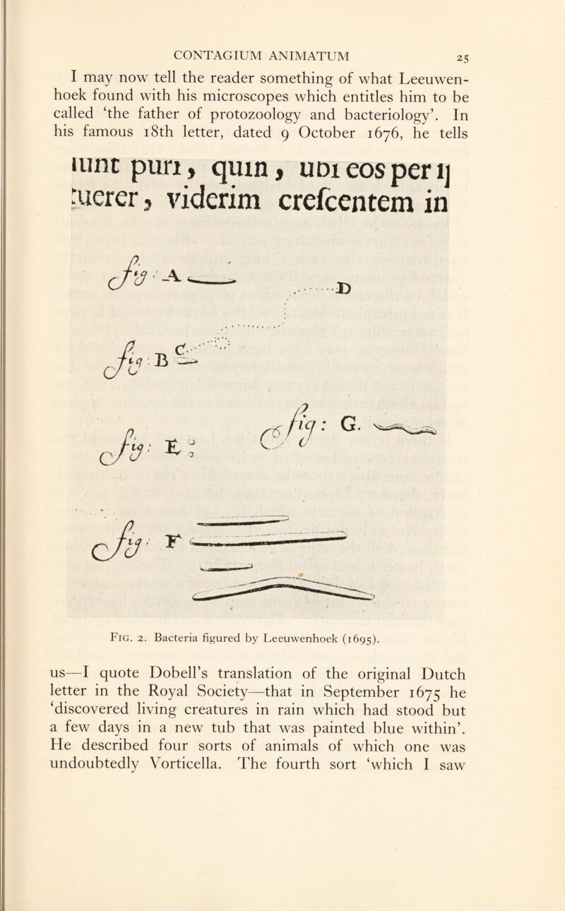 I may now tell the reader something of what Leeuwen¬ hoek found with his microscopes which entitles him to be called ‘the father of protozoology and bacteriology’. In his famous 18th letter, dated 9 October 1676, he tells Hint pun, quin, unieosperij merer, viderim crefcentem in Fig. 2. Bacteria figured by Leeuwenhoek (1695). us—I quote Dobell’s translation of the original Dutch letter in the Royal Society—that in September 1675 ‘discovered living creatures in rain which had stood but a few days in a new tub that was painted blue within’. He described four sorts of animals of which one was undoubtedly Vorticella. The fourth sort ‘which I saw