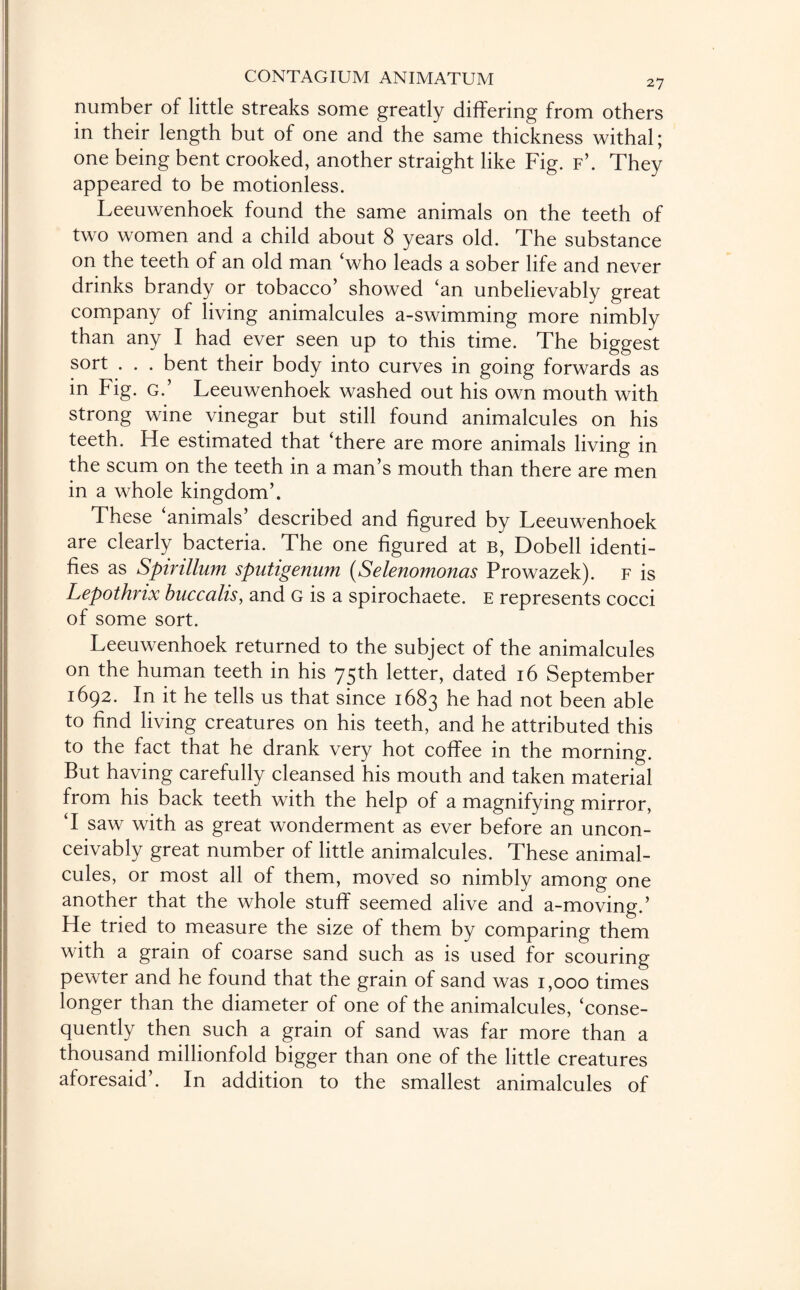 number of little streaks some greatly differing from others in their length but of one and the same thickness withal; one being bent crooked, another straight like Fig. f’. They appeared to be motionless. Leeuwenhoek found the same animals on the teeth of two women and a child about 8 years old. The substance on the teeth of an old man ‘who leads a sober life and never drinks brandy or tobacco’ showed ‘an unbelievably great company of living animalcules a-swimming more nimbly than any I had ever seen up to this time. The biggest sort . . . bent their body into curves in going forwards as in Fig. g.’ Leeuwenhoek washed out his own mouth with strong wine vinegar but still found animalcules on his teeth. Fie estimated that ‘there are more animals living in the scum on the teeth in a man’s mouth than there are men in a whole kingdom’. These animals’ described and figured by Leeuwenhoek are clearly bacteria. The one figured at b, Dobell identi¬ fies as Spirillum sputigenum (Selenomonas Prowazek). f is Lepothrix buccalis, and G is a spirochaete. e represents cocci of some sort. Leeuwenhoek returned to the subject of the animalcules on the human teeth in his 75th letter, dated 16 September 1692. In it he tells us that since 1683 had not been able to find living creatures on his teeth, and he attributed this to the fact that he drank very hot coffee in the morning. But having carefully cleansed his mouth and taken material from his back teeth with the help of a magnifying mirror, ‘I saw with as great wonderment as ever before an uncon- ceivably great number of little animalcules. These animal¬ cules, or most all of them, moved so nimbly among one another that the whole stuff seemed alive and a-moving.’ He tried to measure the size of them by comparing them with a grain of coarse sand such as is used for scouring pewter and he found that the grain of sand was 1,000 times longer than the diameter of one of the animalcules, ‘conse¬ quently then such a grain of sand was far more than a thousand millionfold bigger than one of the little creatures aforesaid’. In addition to the smallest animalcules of