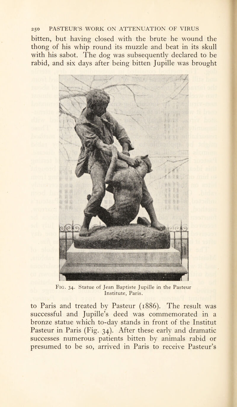 bitten, but having closed with the brute he wound the thong of his whip round its muzzle and beat in its skull with his sabot. The dog was subsequently declared to be rabid, and six days after being bitten Jupille was brought Fig. 34. Statue of Jean Baptiste Jupille in the Pasteur Institute, Paris. to Paris and treated by Pasteur (1886). The result was successful and Jupille’s deed was commemorated in a bronze statue which to-day stands in front of the Institut Pasteur in Paris (Fig. 34). After these early and dramatic successes numerous patients bitten by animals rabid or presumed to be so, arrived in Paris to receive Pasteur’s
