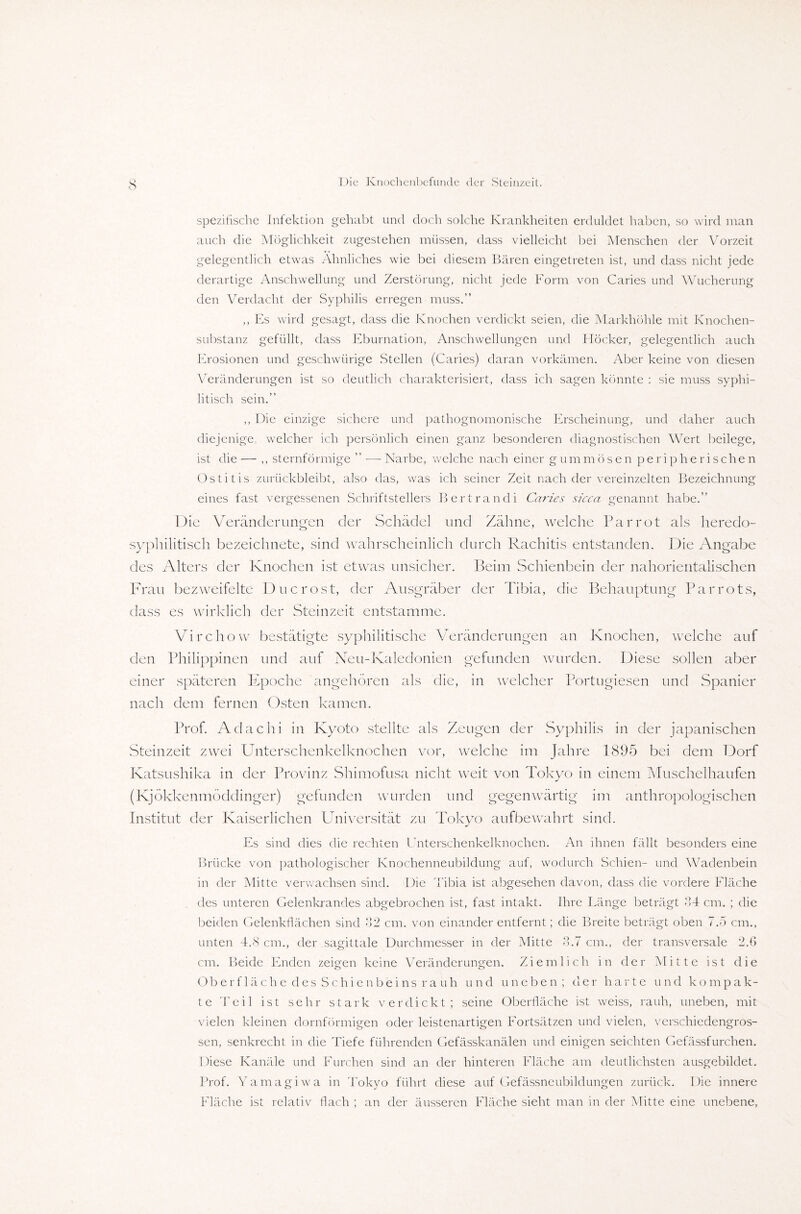 <s spezifische Infektion gehabt und doch solche Krankheiten erduldet haben, so wird man auch die Möglichkeit zugestehen müssen, dass vielleicht bei Menschen der Vorzeit gelegentlich etwas Ähnliches wie bei diesem Bären eingetreten ist, und dass nicht jede derartige Anschwellung und Zerstörung, nicht jede Form von Caries und Wucherung den Verdacht der Syphilis erregen muss.” ,, Es wird gesagt, dass die Knochen verdickt seien, die Markhöhle mit Knochen¬ substanz gefüllt, dass Eburnation, Anschwellungen und Höcker, gelegentlich auch Erosionen und geschwürige Stellen (Caries) daran vorkämen. Aber keine von diesen Veränderungen ist so deutlich charakterisiert, dass ich sagen könnte : sie muss syphi¬ litisch sein.” ,, Die einzige sichere und pathognomonische Erscheinung, und daher auch diejenige, welcher ich persönlich einen ganz besonderen diagnostischen Wert beilege, ist die — ,, sternförmige ” —Narbe, welche nach einer gummösen peripherischen Ostitis zurückbleibt, also das, was ich seiner Zeit nach der vereinzelten Bezeichnung eines fast vergessenen Schriftstellers Bertrandi Caries sicca genannt habe.” Die Veränderungen der Schädel und Zähne, welche Par rot als heredo- syphilitisch bezeichnete, sind wahrscheinlich durch Rachitis entstanden. Die Angabe des Alters der Knochen ist etwas unsicher. Beim Schienbein der nahorientalischen Frau bezweifelte Ducrost, der Ausgräber der Tibia, die Behauptung Parrots, dass es wirklich der Steinzeit entstamme. Virchow bestätigte syphilitische Veränderungen an Knochen, welche auf den Philippinen und auf Neu-Kaledonien gefunden wurden. Diese sollen aber einer späteren Epoche angehören als die, in welcher Portugiesen und Spanier nach dem fernen Osten kamen. Prof. Adachi in Kyoto stellte als Zeugen der Syphilis in der japanischen Steinzeit zwei Unterschenkelknochen vor, welche im Jahre 1895 bei dem Dorf Katsushika in der Provinz Shimofusa nicht weit von Tokyo in einem Muschelhaufen (Kjökkenmöddinger) gefunden wurden und gegenwärtig im anthropologischen Institut der Kaiserlichen Universität zu Tokyo aufbewahrt sind. Es sind dies die rechten Unterschenkelknochen. An ihnen fällt besonders eine Brücke von pathologischer Knochenneubildung auf, wodurch Schien- und Wadenbein in der Mitte verwachsen sind. Die Tibia ist abgesehen davon, dass die vordere Fläche des unteren Gelenkrandes abgebrochen ist, fast intakt. Ihre Länge beträgt 34 cm. ; die beiden Gelenkflächen sind 32 cm. von einander entfernt; die Breite beträgt oben 7.5 cm., unten 4.8 cm., der sagittale Durchmesser in der Mitte 3.7 cm., der transversale 2.6 cm. Beide Enden zeigen keine Veränderungen. Ziemlich in der Mitte ist die Oberfläche des Schienbeins rauh und uneben; der harte und kompak¬ te Teil ist sehr stark verdickt; seine Oberfläche ist weiss, rauh, uneben, mit vielen kleinen dornförmigen oder leistenartigen Fortsätzen und vielen, verschiedengros¬ sen, senkrecht in die Tiefe führenden Gefässkanälen und einigen seichten Gefässfurchen. Diese Kanäle und Furchen sind an der hinteren Fläche am deutlichsten ausgebildet. Prof. Yamagiwa in Tokyo führt diese auf Gefässneubildungen zurück. Die innere Fläche ist relativ flach ; an der äusseren Fläche sieht man in der Mitte eine unebene,