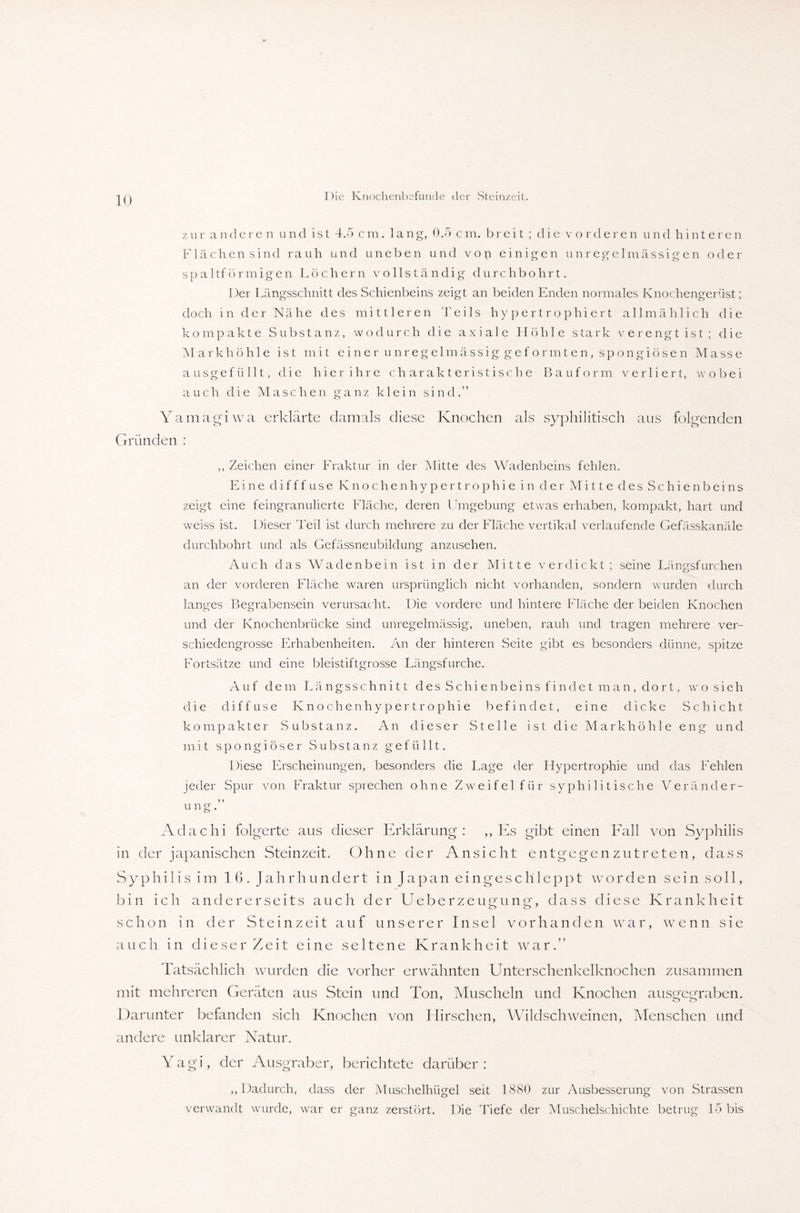 zur a nder e n und ist 4.5 cm. lang, 0.5 c m. breit ; die vordere n und hinteren Flächen sind rauh und uneben und von einigen unregelmässigen oder spaltförmigen Löchern vollständig durchbohrt. I )er Längsschnitt des Schienbeins zeigt an beiden Enden normales Knochengerüst; doch in der Nähe des mittleren Teils hypertrophiert allmählich die kompakte Substanz, wodurch die axiale Höhle stark verengt ist; die Markhöhle ist mit einer unregelmässig geformten, spongiösen Masse ausgefüllt, die hier ihre charakteristische Bauform verliert, wobei auch die Maschen ganz klein sind.” Yamagiwa erklärte damals diese Knochen als syphilitisch aus folgenden Gründen : ,, Zeichen einer Fraktur in der Mitte des Wadenbeins fehlen. Eine diff f use Knochenhypertrophie in der Mitte des Schienbeins zeigt eine feingranulierte Fläche, deren Umgebung etwas erhaben, kompakt, hart und weiss ist. Dieser Teil ist durch mehrere zu der Fläche vertikal verlaufende Gefässkanäle durchbohrt und als Gefässneubildung anzusehen. Auch das Wadenbein ist in der Mitte verdickt; seine Längsfurchen an der vorderen Fläche waren ursprünglich nicht vorhanden, sondern wurden durch langes Begrabensein verursacht. Die vordere und hintere Fläche der beiden Knochen und der Knochenbrücke sind unregelmässig, uneben, rauh und tragen mehrere ver¬ schiedengrosse Erhabenheiten. An der hinteren Seite gibt es besonders dünne, spitze Fortsätze und eine bleistiftgrosse Längsfurche. Auf dem Längsschnitt des Schienbeins findet man, dort, wo sich die diffuse Knoche nhypertrop hie befindet, eine dicke Schicht kompakter Substanz. An dieser Stelle ist die Markhöhle eng und mit spongiöser Substanz gefüllt. Diese Erscheinungen, besonders die Lage der Hypertrophie und das Fehlen jeder Spur von Frakt ur sprechen ohne Zweifel für syphilitische Veränder¬ ung.” Adachi folgerte aus dieser Erklärung: ,, Es gibt einen Fall von Syphilis in der japanischen Steinzeit. Ohne der Ansicht entgegenzutreten, dass Syphi 1 is im 16. Jahrhundert in Japan eingeschleppt worden sein so 11, bin ich andererseits auch der Ueberzeugung, dass diese Krankheit schon in der Steinzeit auf unserer Insel vorhanden war, wenn sie auch in dieser Zeit eine seltene Krankheit war.” Tatsächlich wurden die vorher erwähnten Unterschenkelknochen zusammen mit mehreren Geräten aus Stein und Ton, Muscheln und Knochen ausgegraben. Darunter befanden sich Knochen von Hirschen, Wildschweinen, Menschen und andere unklarer Natur. Yagi, der Ausgräber, berichtete darüber: ,, Dadurch, dass der Muschelhügel seit 1880 zur Ausbesserung von Strassen verwandt wurde, war er ganz zerstört. Die Tiefe der Muschelschichte betrug 15 bis