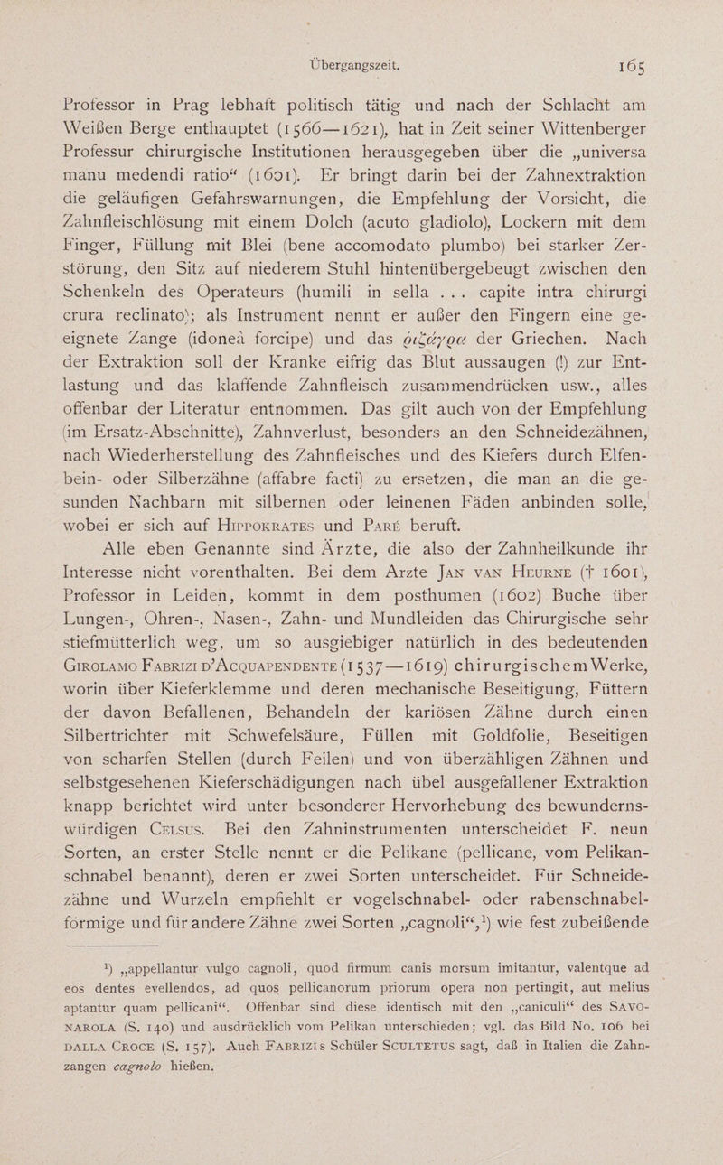 Professor in Prag lebhaft politisch tätig und nach der Schlacht am Weißen Berge enthauptet (1566—1621), hat in Zeit seiner Wittenberger Professur chirurgische Institutionen herausgegeben über die „universa manu medendi ratio“ (1601). Er bringt darin bei der Zahnextraktion die geläufigen Gefahrswarnungen, die Empfehlung der Vorsicht, die Zahnfleischlösung mit einem Dolch (acuto gladiolo), Lockern mit dem Finger, Füllung mit Blei (bene accomodato plumbo) bei starker Zer¬ störung, den Sitz auf niederem Stuhl hintenübergebeugt zwischen den Schenkeln des Operateurs (humili in sella . . . capite intra chirurgi crura reclinato); als Instrument nennt er außer den Fingern eine ge¬ eignete Zange (idoneä forcipe) und das gi^dyga der Griechen. Nach der Extraktion soll der Kranke eifrig das Blut aussaugen (!) zur Ent¬ lastung und das klaffende Zahnfleisch zusammendrücken usw., alles offenbar der Literatur entnommen. Das gilt auch von der Empfehlung im Ersatz-Abschnitte), Zahnverlust, besonders an den Schneidezähnen, nach Wiederherstellung des Zahnfleisches und des Kiefers durch Elfen¬ bein- oder Silberzähne (affabre facti) zu ersetzen, die man an die ge¬ sunden Nachbarn mit silbernen oder leinenen Fäden anbinden solle, wobei er sich auf Hippokrates und Pare beruft. Alle eben Genannte sind Ärzte, die also der Zahnheilkunde ihr Interesse nicht vorenthalten. Bei dem Arzte Jan van EIeurne (t 1601), Professor in Leiden, kommt in dem posthumen (1602) Buche über Lungen-, Ohren-, Nasen-, Zahn- und Mundleiden das Chirurgische sehr stiefmütterlich weg, um so ausgiebiger natürlich in des bedeutenden Girolamo Fabrizi d’Acquapendente (1537 —1619) chirurgischem Werke, worin über Kieferklemme und deren mechanische Beseitigung, Füttern der davon Befallenen, Behandeln der kariösen Zähne durch einen Silbertrichter mit Schwefelsäure, Füllen mit Goldfolie, Beseitigen von scharfen Stellen (durch Feilen) und von überzähligen Zähnen und selbstgesehenen Kieferschädigungen nach übel ausgefallener Extraktion knapp berichtet wird unter besonderer Hervorhebung des bewunderns¬ würdigen Celsus. Bei den Zahninstrumenten unterscheidet F. neun Sorten, an erster Stelle nennt er die Pelikane (pellicane, vom Pelikan¬ schnabel benannt), deren er zwei Sorten unterscheidet. Für Schneide¬ zähne und Wurzeln empfiehlt er vogelschnabel- oder rabenschnabel¬ förmige und für andere Zähne zweiSorten „cagnoli“,1) wie fest zubeißende fi „appellantur vulgo cagnoli, quod firmum canis morsum imitantur, valentque ad eos dentes evellendos, ad quos pellicanorum priorum opera non pertingit, aut melius aptantur quam pellicani“. Offenbar sind diese identisch mit den „caniculi“ des Savo- narola (S. 140) und ausdrücklich vom Pelikan unterschieden; vgl. das Bild No. 106 bei dalla Croce (S. 157). Auch Fabrizis Schüler Scultetus sagt, daß in Italien die Zahn¬ zangen cagnolo hießen.