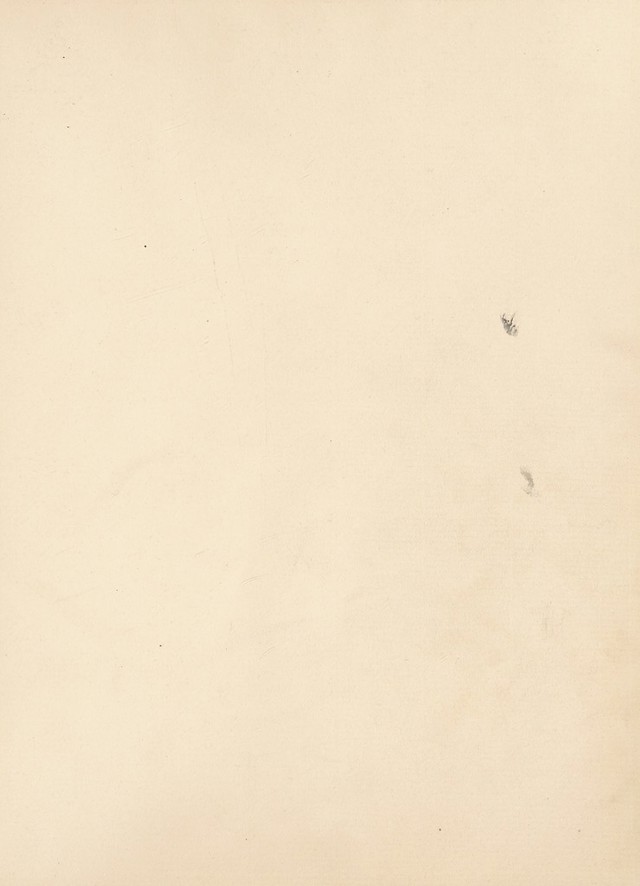digitised image 3