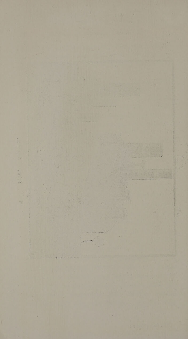 ine YB ae a ae aes Plea ree es MS PANIC oy ms &gt; ee wae ey va t= e 4 oe 2 a Ps ~ ; 2 é = £ F é oa] &amp; i ; 1 t i « 5 ¢ H ee ’ 2a * rf: ve *~ . 1 e F as ak = ms z AS is oa : - *. . = &amp;. f ae Pomme) an 