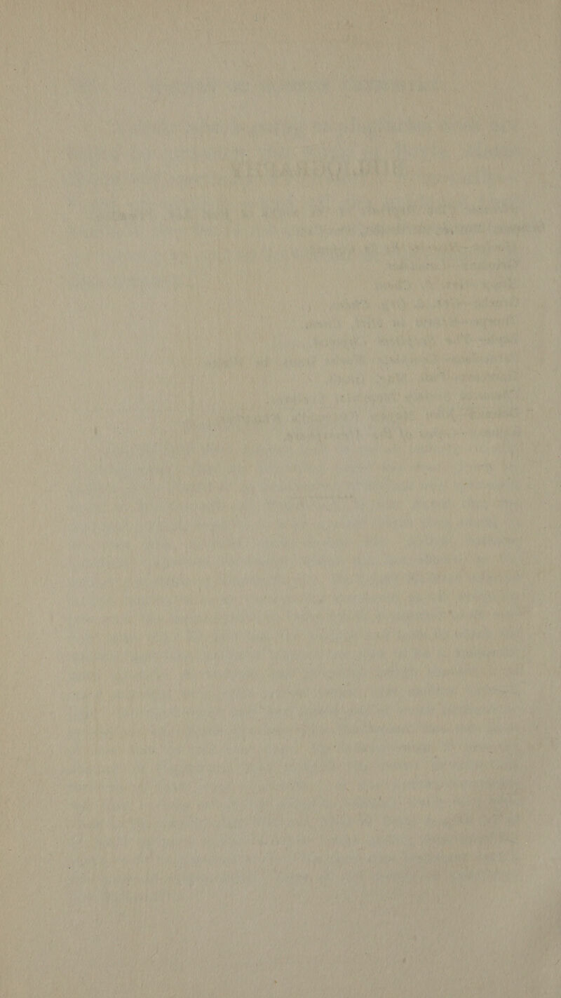 ey aN ‘ ag aie i ue day } id yeasty ws yj , ut ane oad 7” i ; Sats Lye aA hte ad TAM ies ve Dente Cy Be Bs Gta Ss 40T ae | oa eee HE lee 