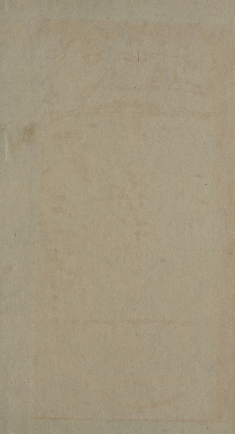 wher pair Pepe thay § a an : P.O ae tae ites a AS