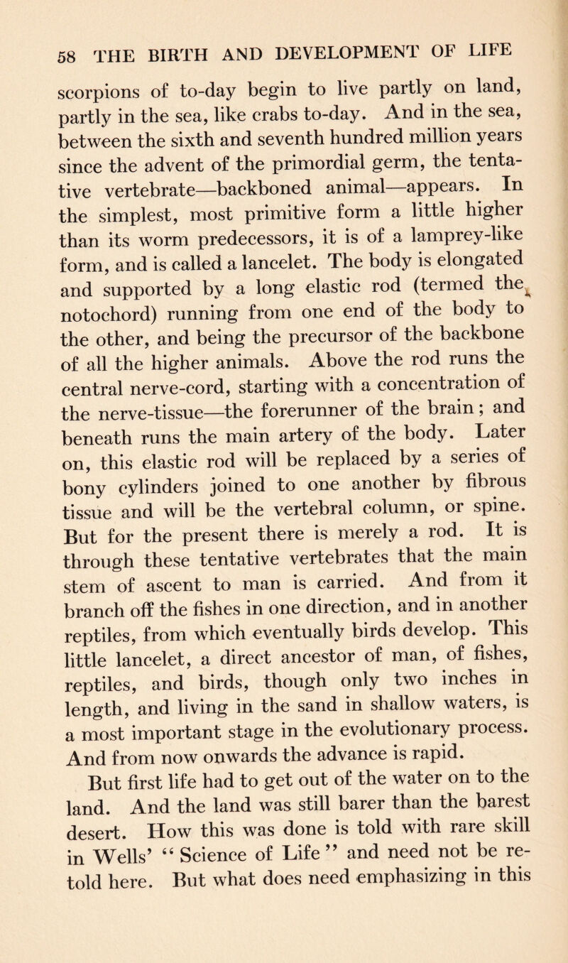 scorpions of to-day begin to live partly on land, partly in the sea, like crabs to-day. And in the sea, between the sixth and seventh hundred million years since the advent of the primordial germ, the tenta¬ tive vertebrate—backboned animal—appears. In the simplest, most primitive form a little higher than its worm predecessors, it is of a lamprey-like form, and is called a lancelet. The body is elongated and supported by a long elastic rod (termed the^ notochord) running from one end of the body to the other, and being the precursor of the backbone of all the higher animals. Above the rod runs the central nerve-cord, starting with a concentration of the nerve-tissue—the forerunner of the brain; and beneath runs the main artery of the body. Later on, this elastic rod will be replaced by a series of bony cylinders joined to one another by fibrous tissue and will be the vertebral column, or spine. But for the present there is merely a rod. It is through these tentative vertebrates that the main stem of ascent to man is carried. And from it branch off the fishes in one direction, and in another reptiles, from which eventually birds develop. This little lancelet, a direct ancestor of man, of fishes, reptiles, and birds, though only two inches in length, and living in the sand in shallow waters, is a most important stage in the evolutionary process. And from now onwards the advance is rapid. But first life had to get out of the water on to the land. And the land was still barer than the barest desert. How this was done is told with rare skill in Wells’ 64 Science of Life ” and need not be re¬ told here. But what does need emphasizing in this