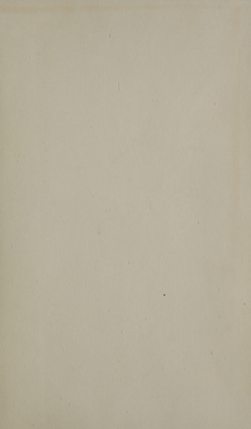 At ro Ĳ Ĳ 1 4 EN f \ ur d bi doper ' HI be 1 An dt OA ERN ee 8 f Ms EN 